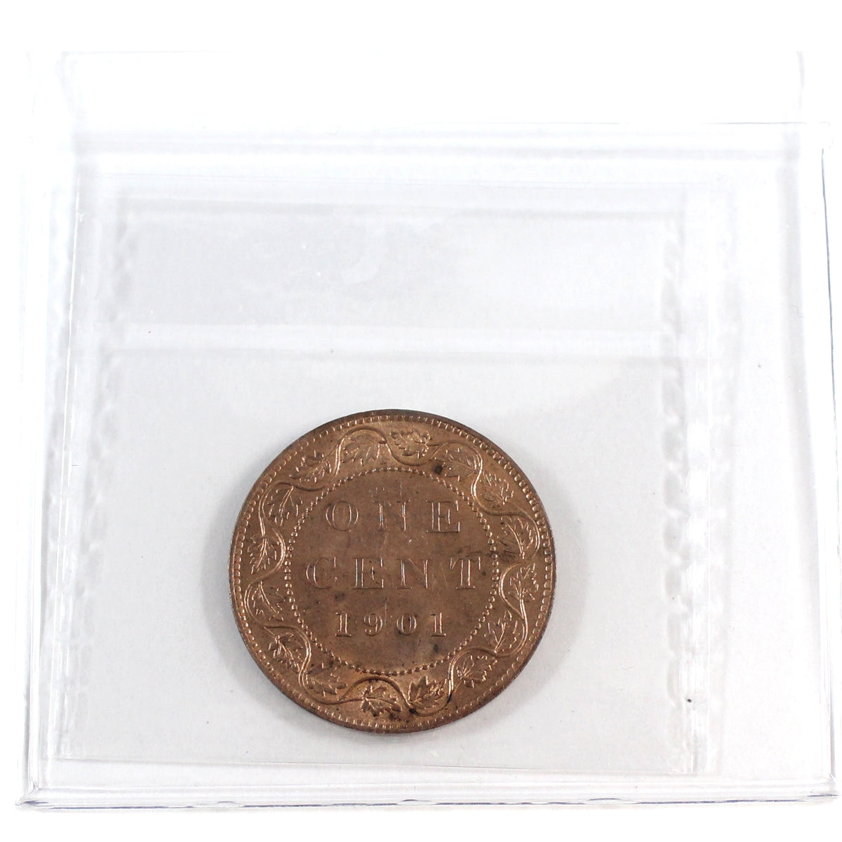 1901 Canada 1-cent ICCS Certified MS65 Red (XUB 893)