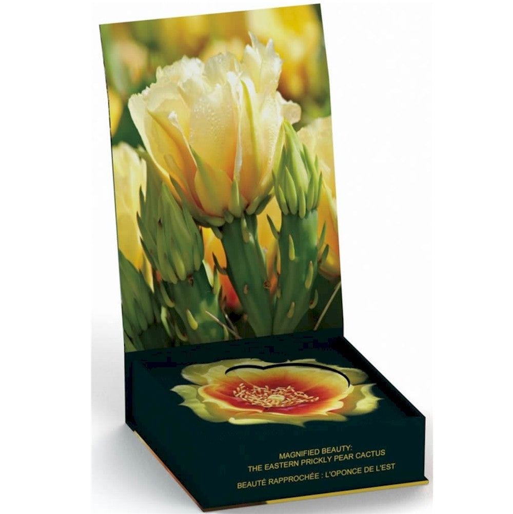 2013 Canada 25-cent Magnified Beauty - The Eastern Prickly Pear Cactus