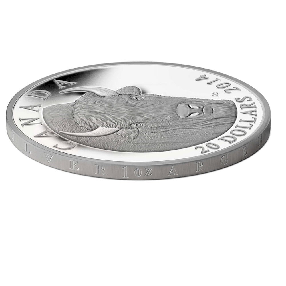 2014 Canada $20 The Bison: A Portrait (#1) Fine Silver (No Tax)