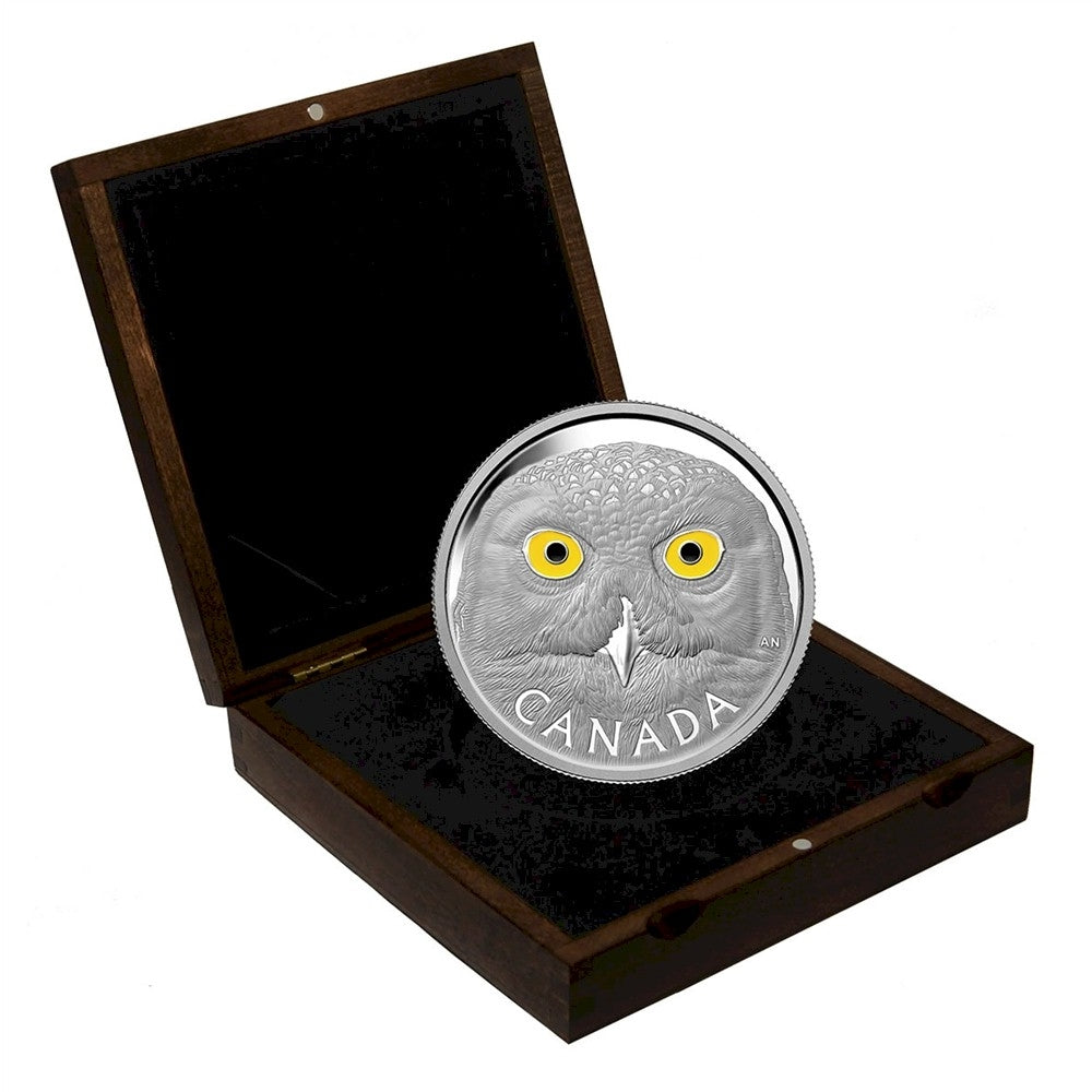 2014 Canada $250 In The Eyes Of The Snowy Owl Silver Kilo (No Tax)