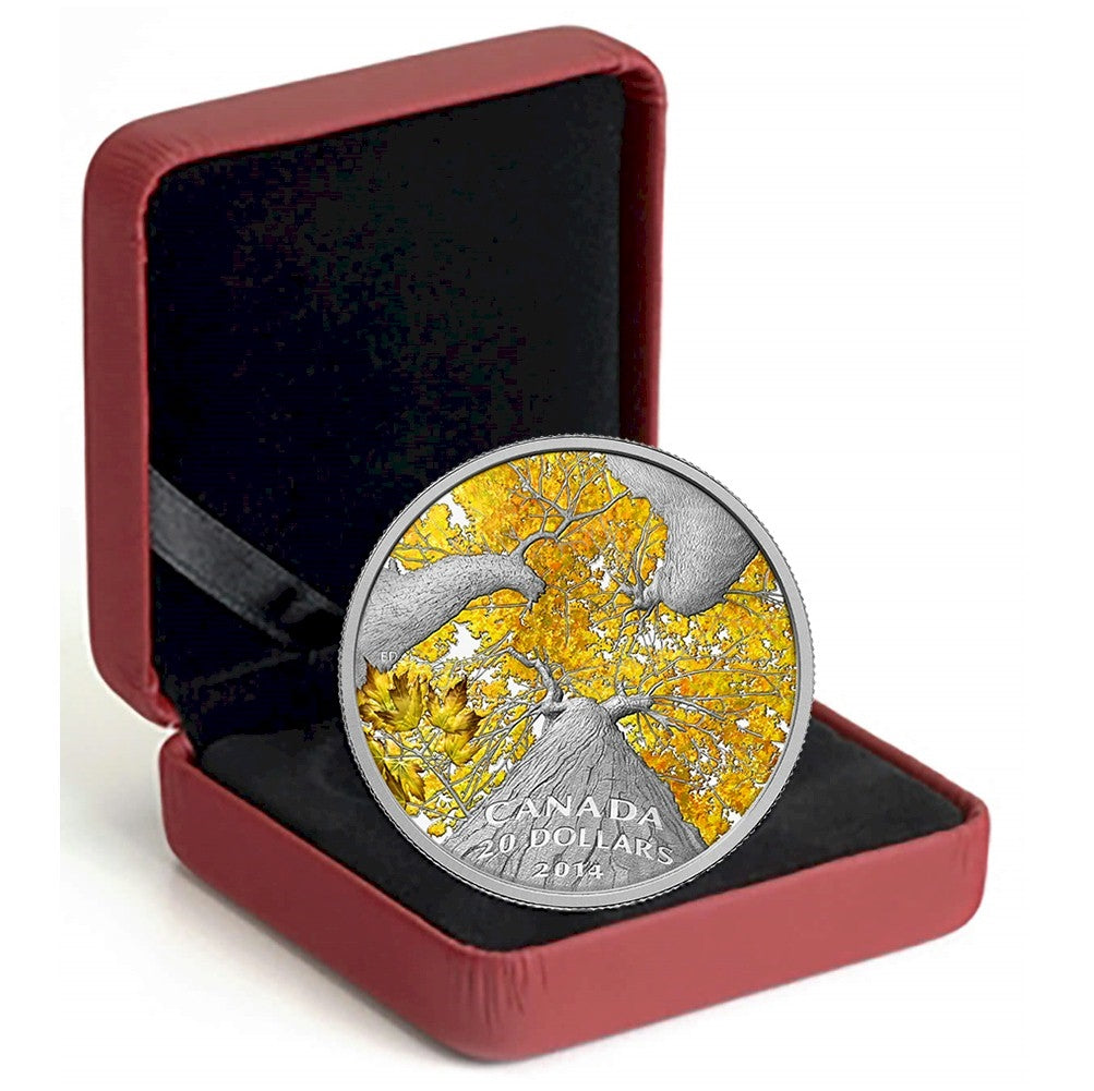 2014 $20 Canadian Maple Canopy: Autumn Allure Fine Silver (No Tax)