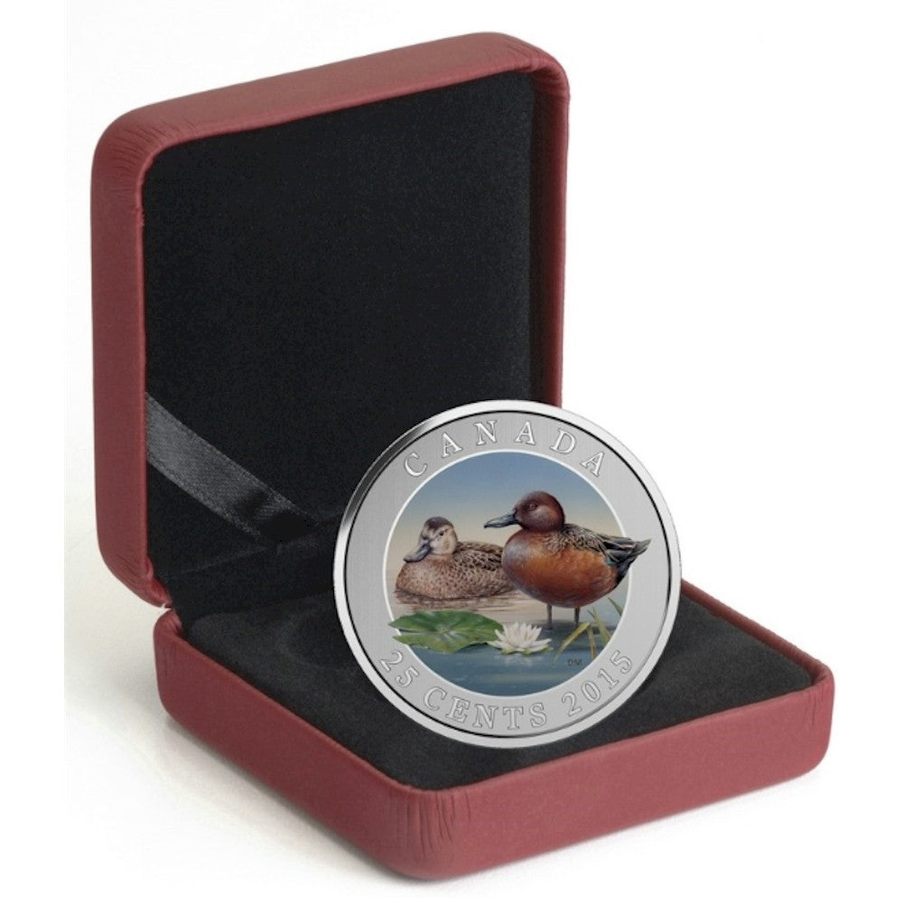 2015 25-cent Ducks of Canada - Cinnamon Teal Coloured Cupronickel Coin