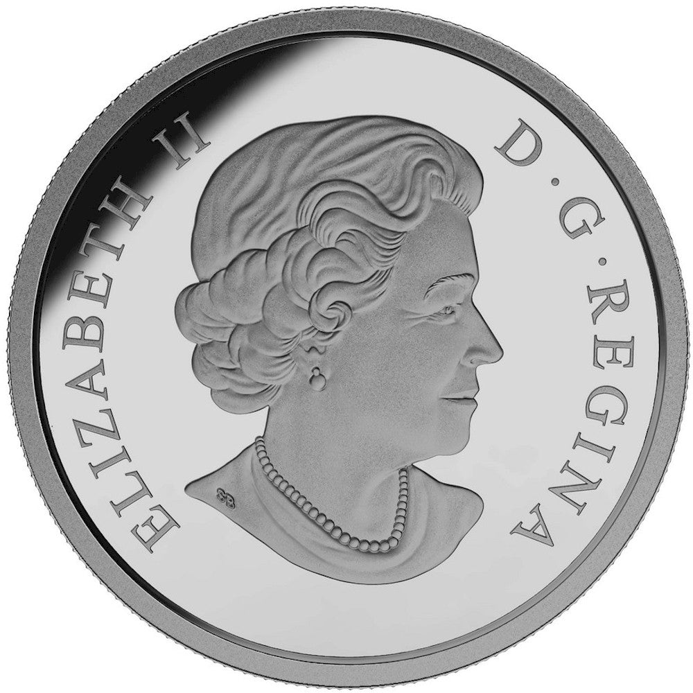 2015 Canada $20 Baby Animals - Black Bear Fine Silver (No Tax)