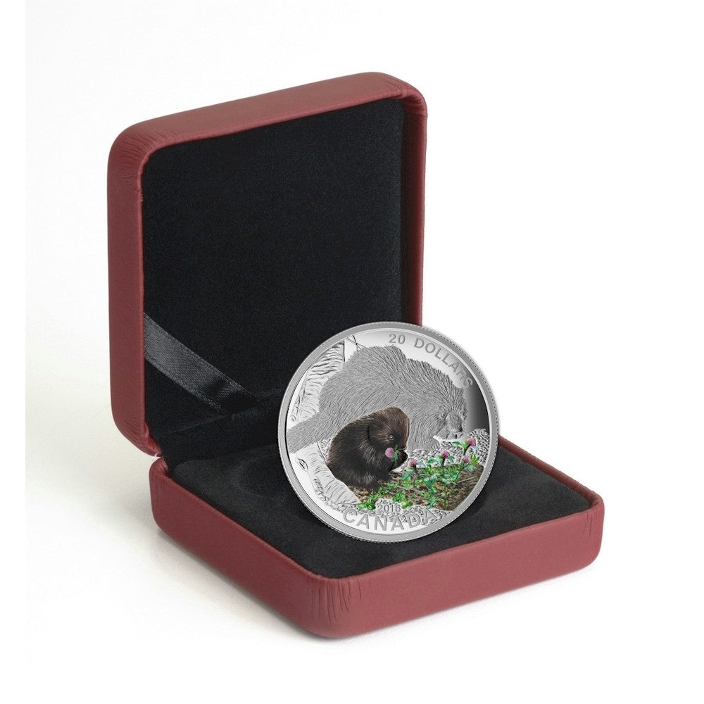 2016 Canada $20 Baby Animals - Porcupine Fine Silver (No Tax)