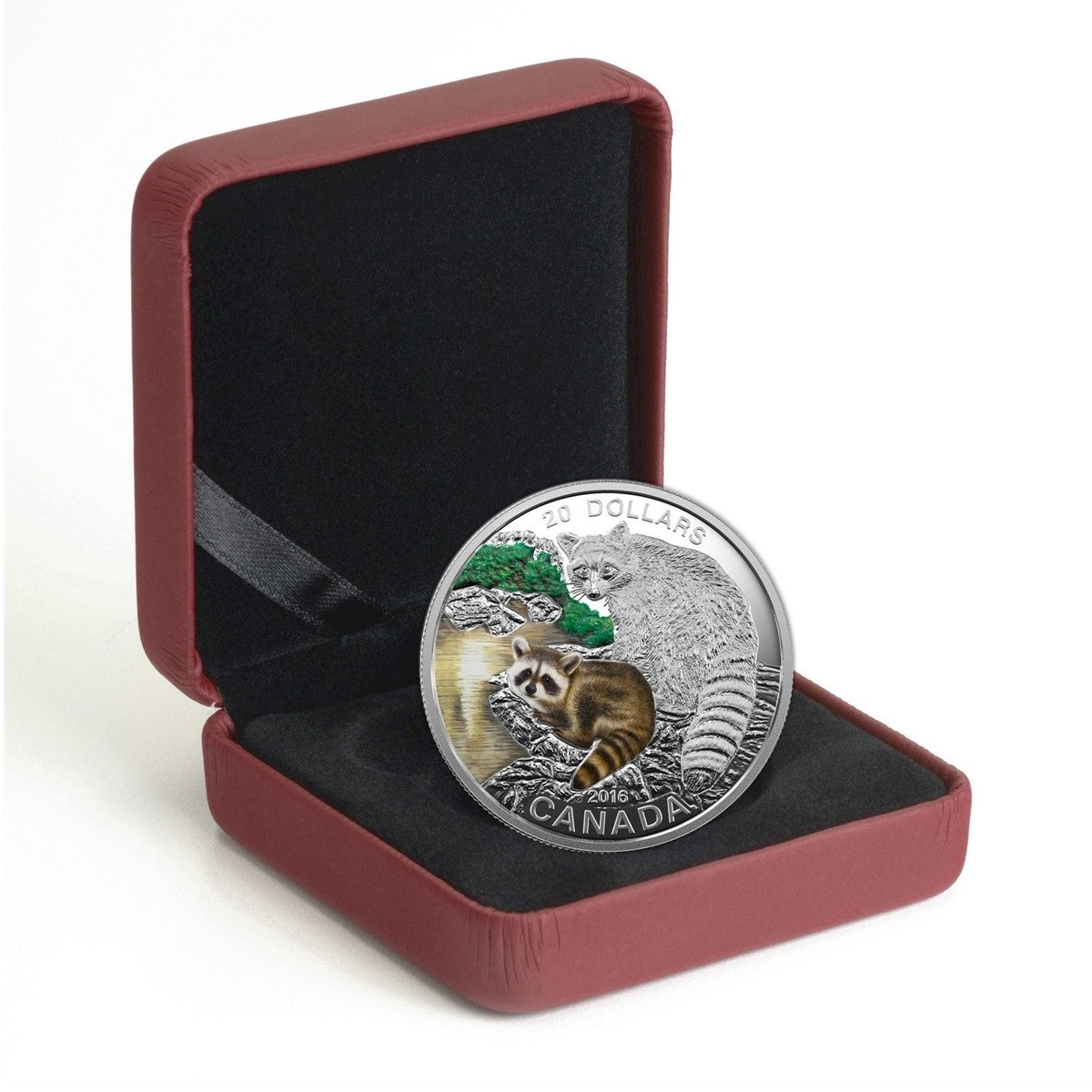 2016 Canada $20 Baby Animals - Baby Raccoon Fine Silver (No Tax)