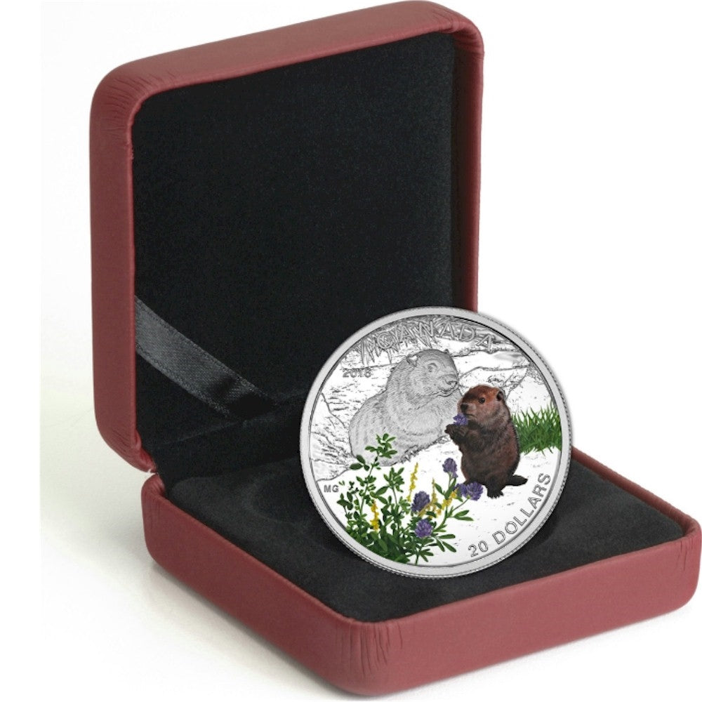 2016 Canada $20 Baby Animals - The Woodchuck Fine Silver (No Tax)
