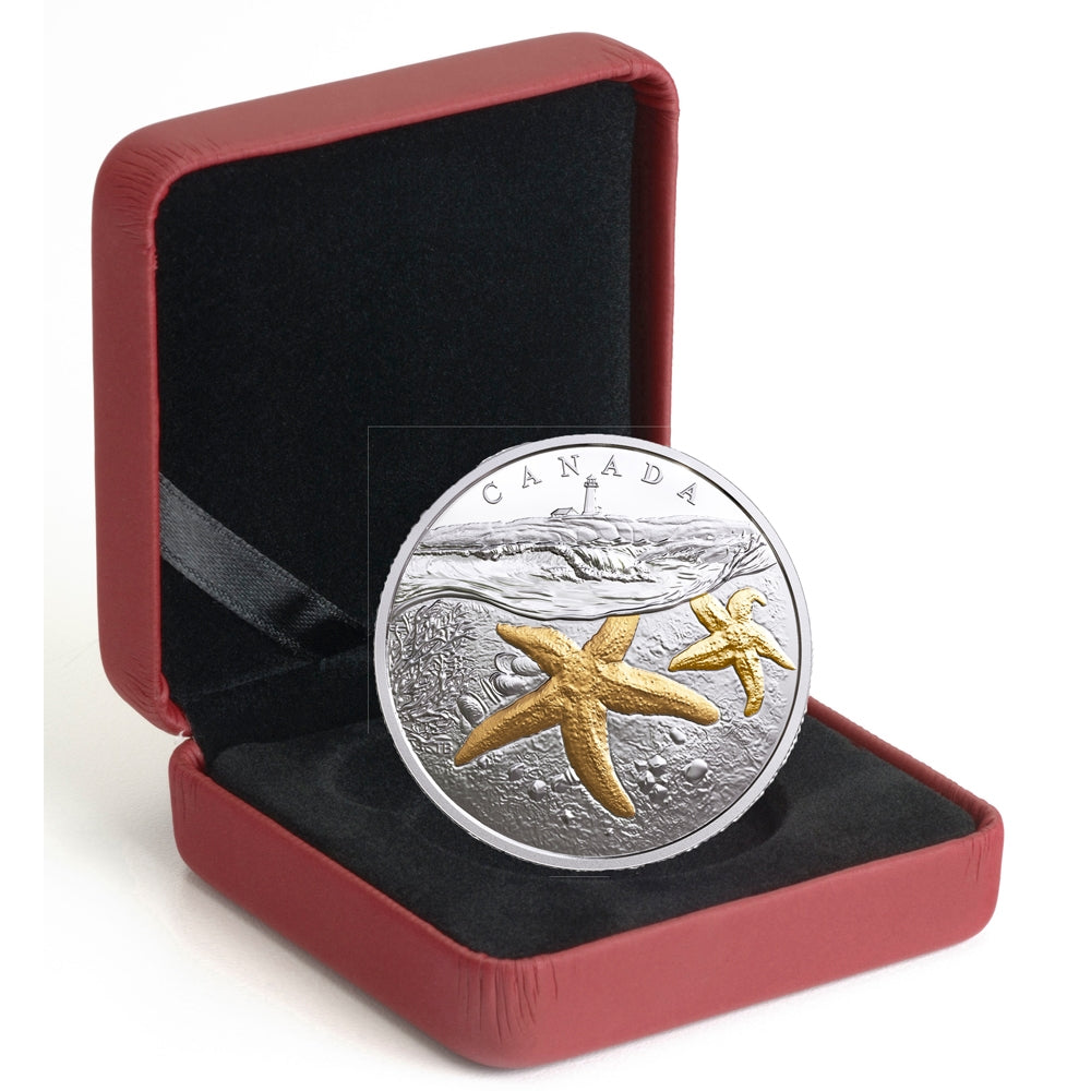 2017 Canada $20 From Sea to Sea - Atlantic Starfish Gold-Plated Silver (No Tax)