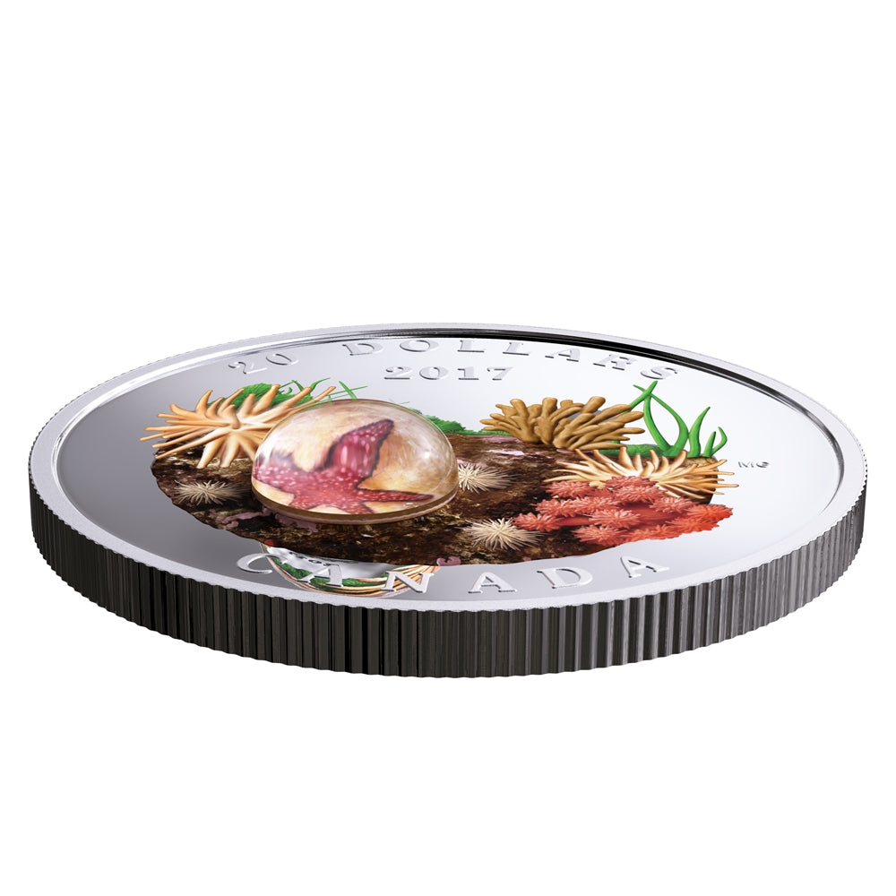 2017 Canada $20 Under the Sea - Sea Star Fine Silver Coin