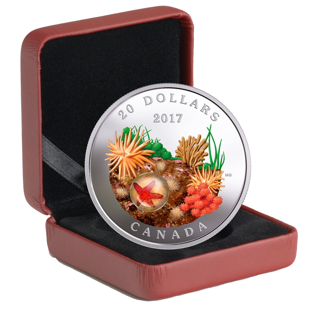 2017 Canada $20 Under the Sea - Sea Star Fine Silver Coin