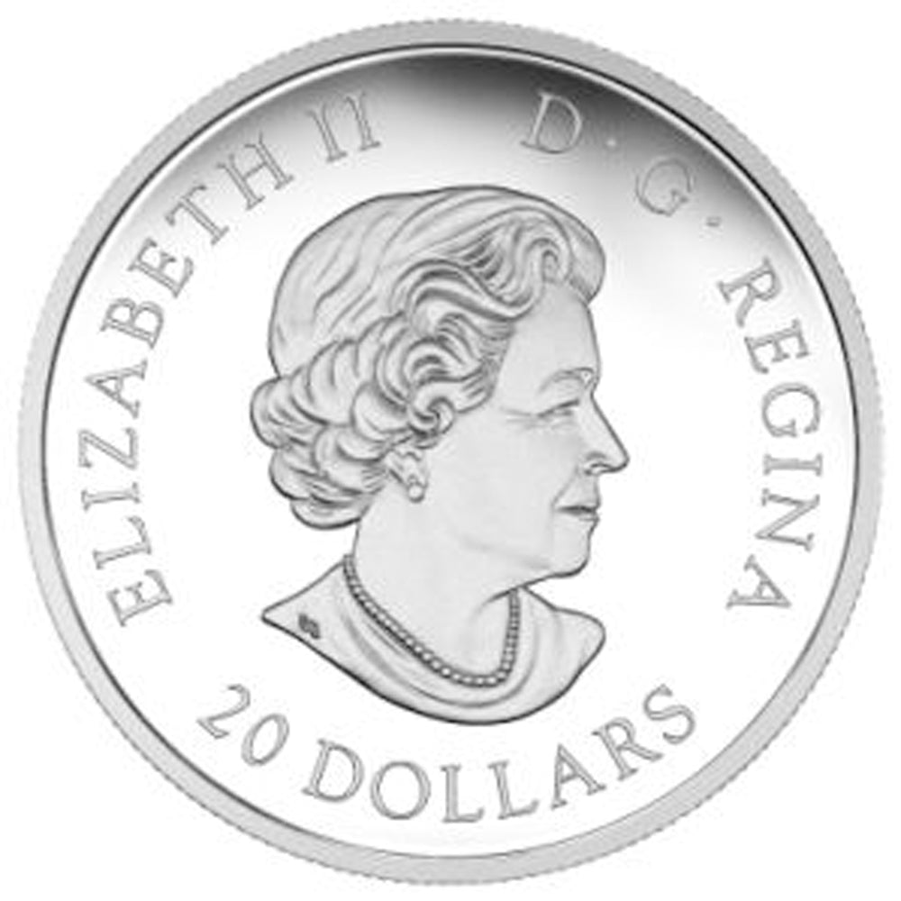 2017 Canada $20 Glistening North - Arctic Tern Fine Silver (No Tax)