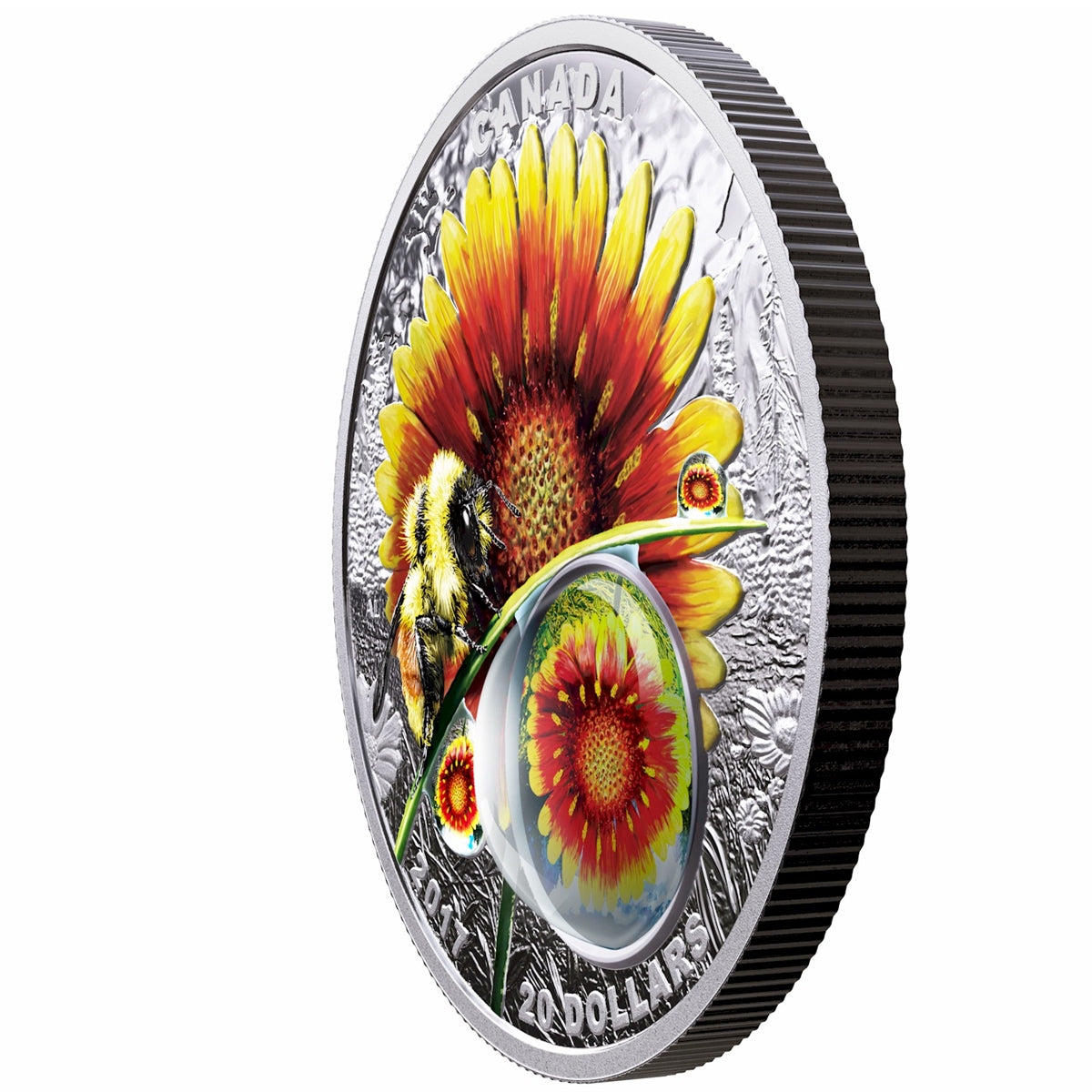 2017 Canada $20 Mother Nature's Magnification - Beauty Under The Sun