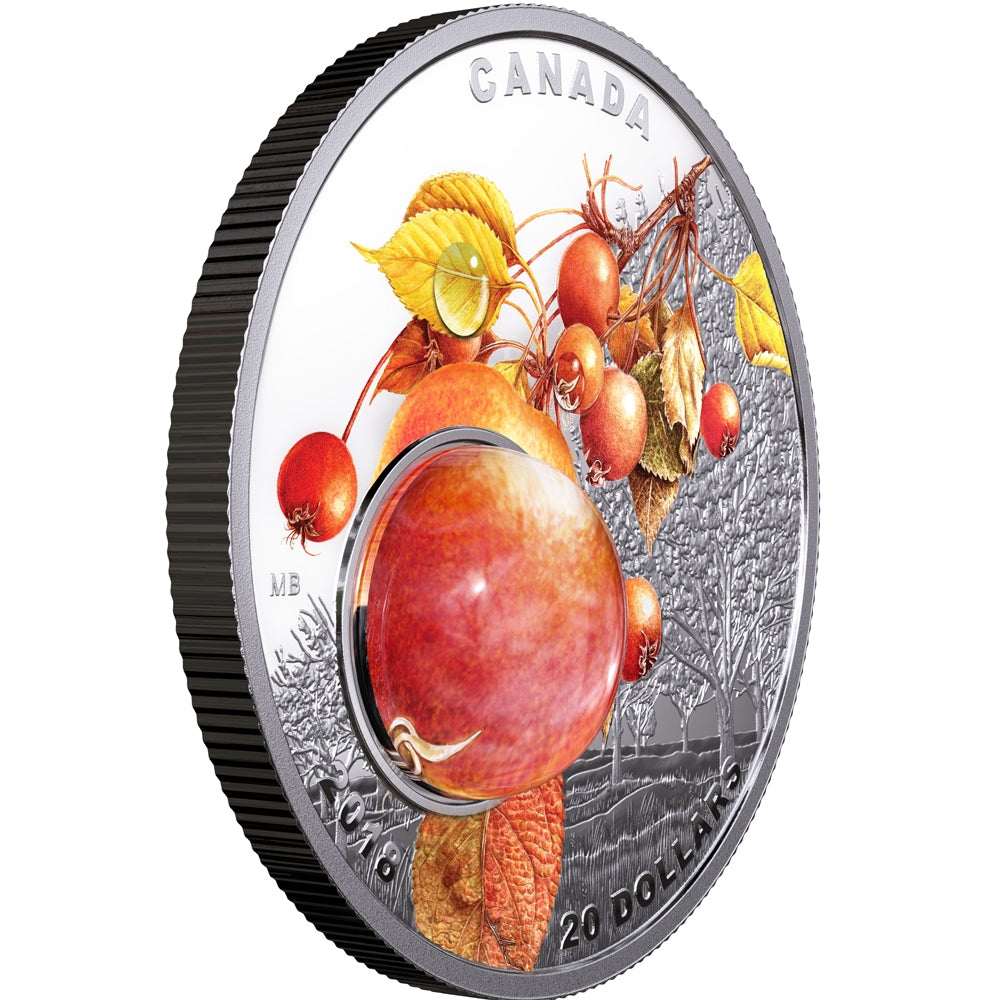2018 Canada $20 Mother Nature's Magnification - Morning Dew Silver Coin