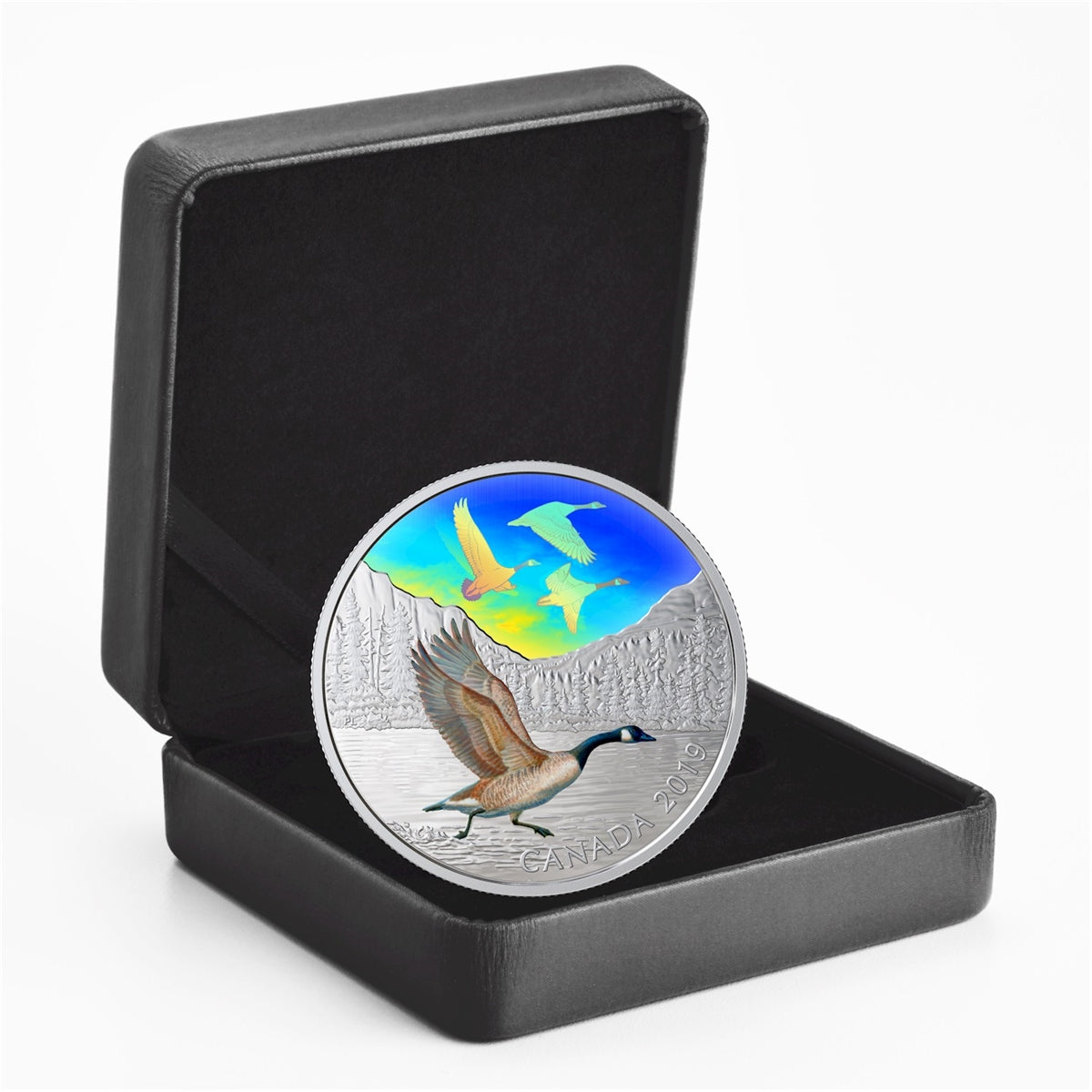 2019 Canada $30 Majestic Birds in Motion - Canada Geese Fine Silver (No Tax)