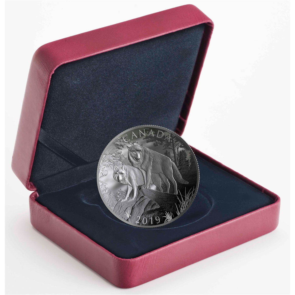 2019 Canada $100 Double Concave Nature's Grandeur: Wolves 10 oz. Fine Silver (No Tax)