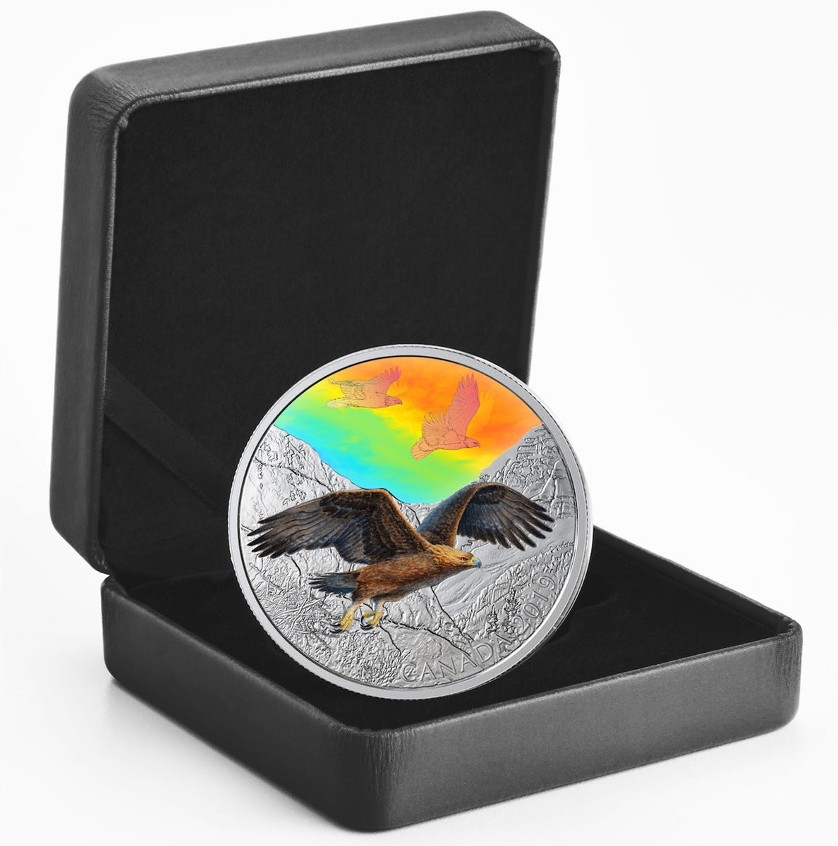 2019 Canada $30 Majestic Birds in Motion - Golden Eagles 2oz. Fine Silver (No Tax)