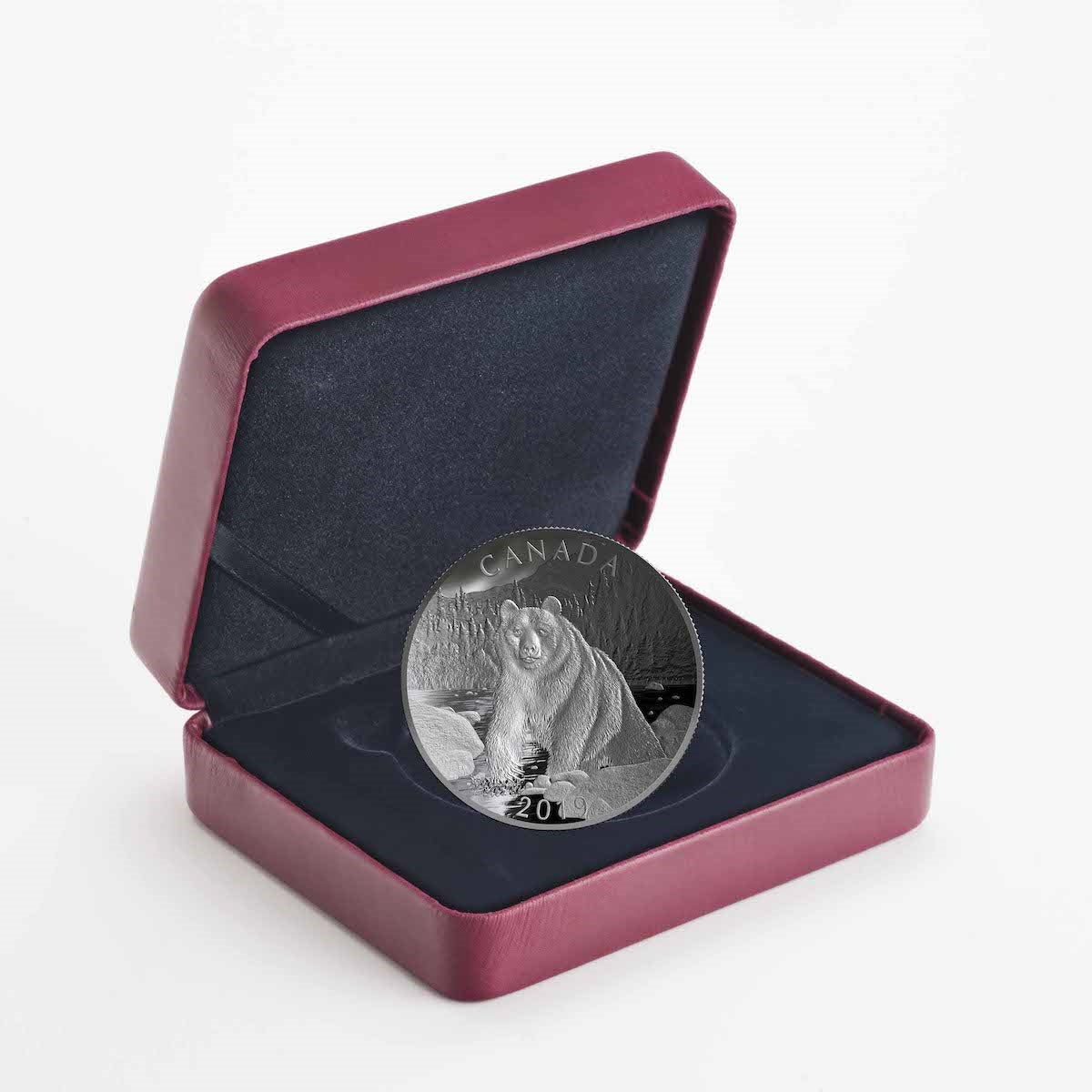 2019 Canada $100 Double Concave Nature's Grandeur: Brown Bear 10oz. Fine Silver (No Tax)