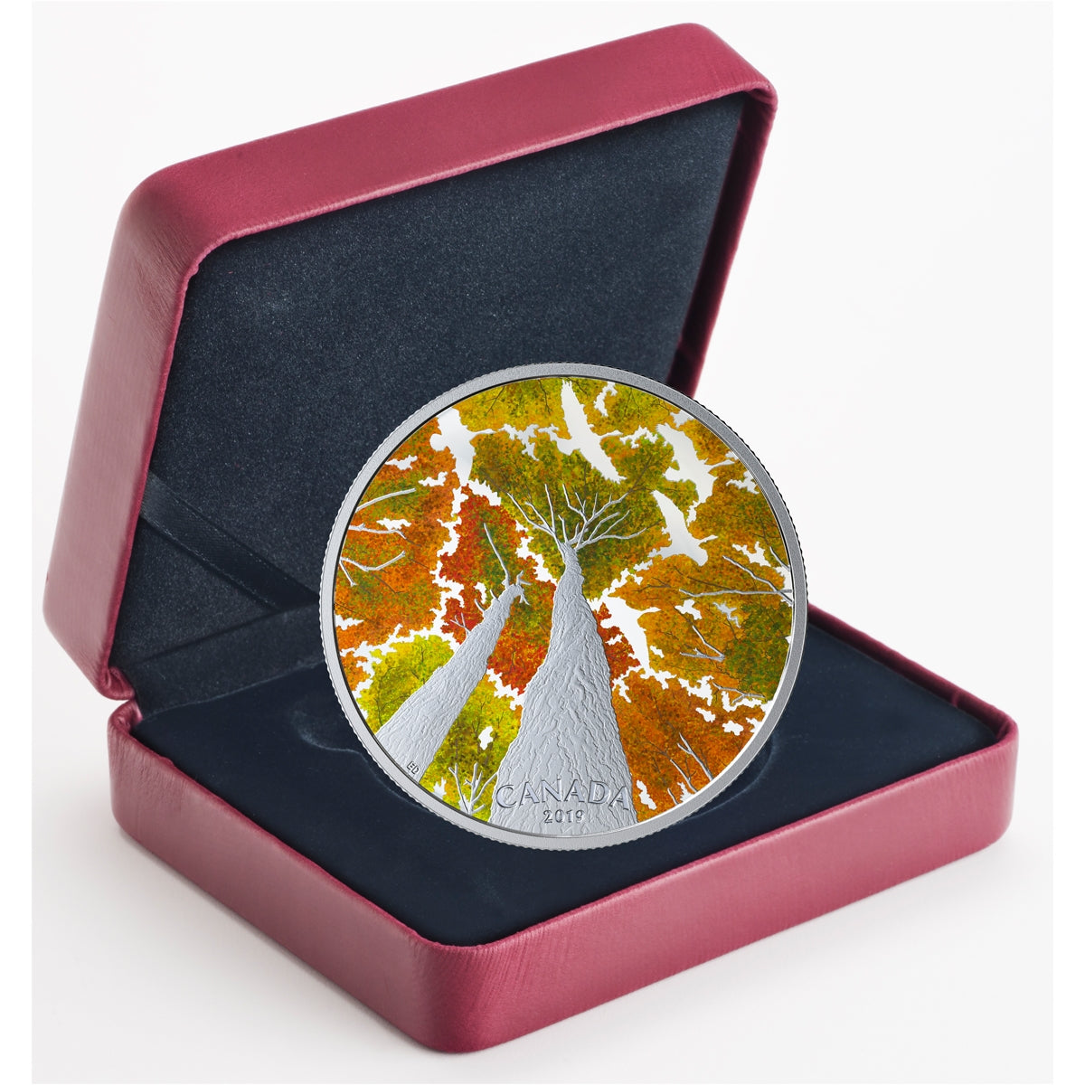 2019 $30 Canadian Canopy: The Canada Goose Fine Silver Coin (Tax Exempt)