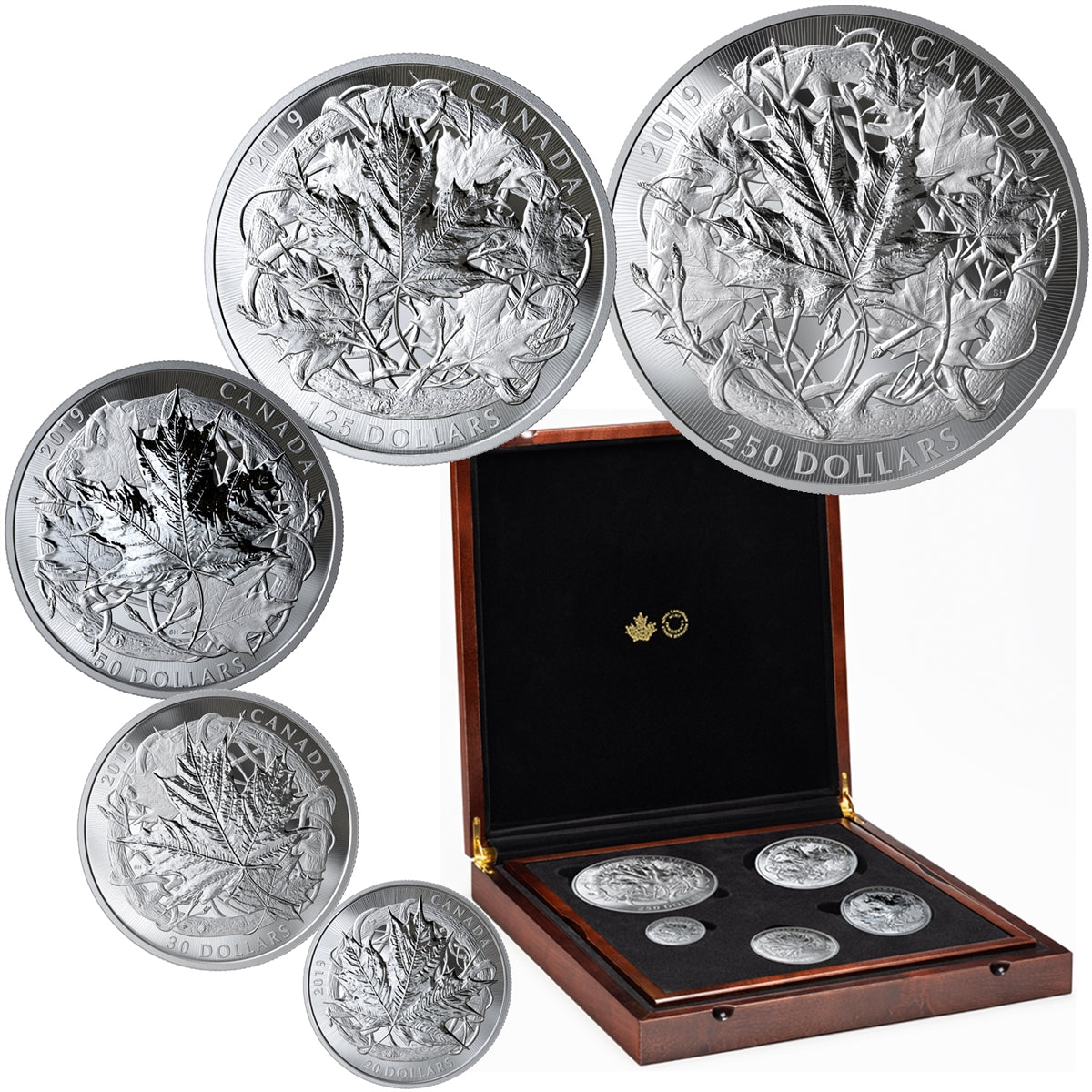 2019 The Canadian Maple Masters Collection Fine Silver 5-Coin Set (No Tax) Bent/Torn