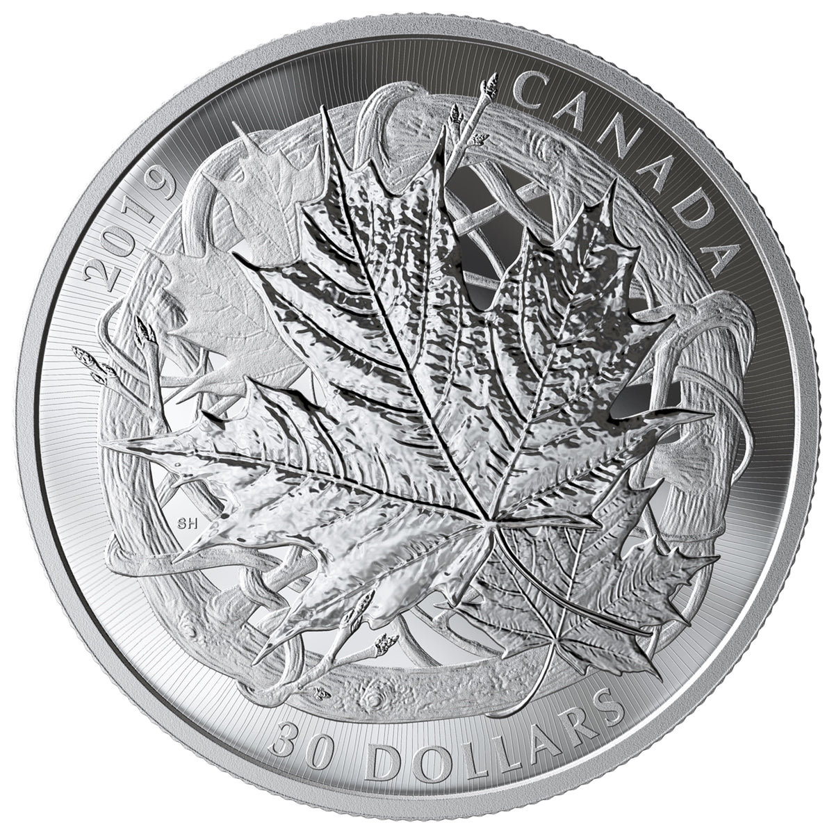 2019 The Canadian Maple Masters Collection Fine Silver 5-Coin Set (No Tax) Bent/Torn