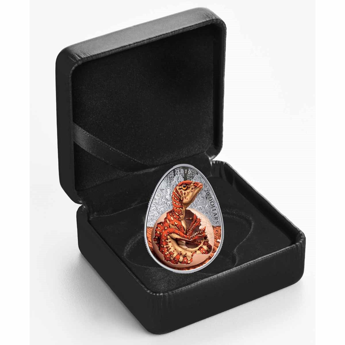 2019 Canada $20 Hatching Hadrosaur Fine Silver Coin (No Tax)