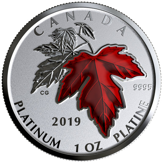 2019 Canada $300 Maple Leaf Forever Pure Platinum (No Tax)
