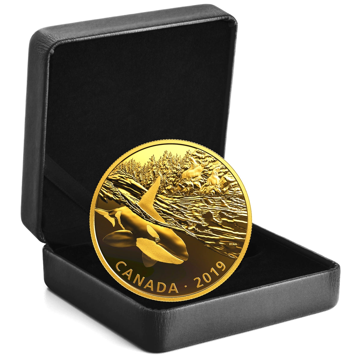 2019 Canada $30 Golden Reflections - Predator and Prey Orca & Sea Lions Silver (No Tax)