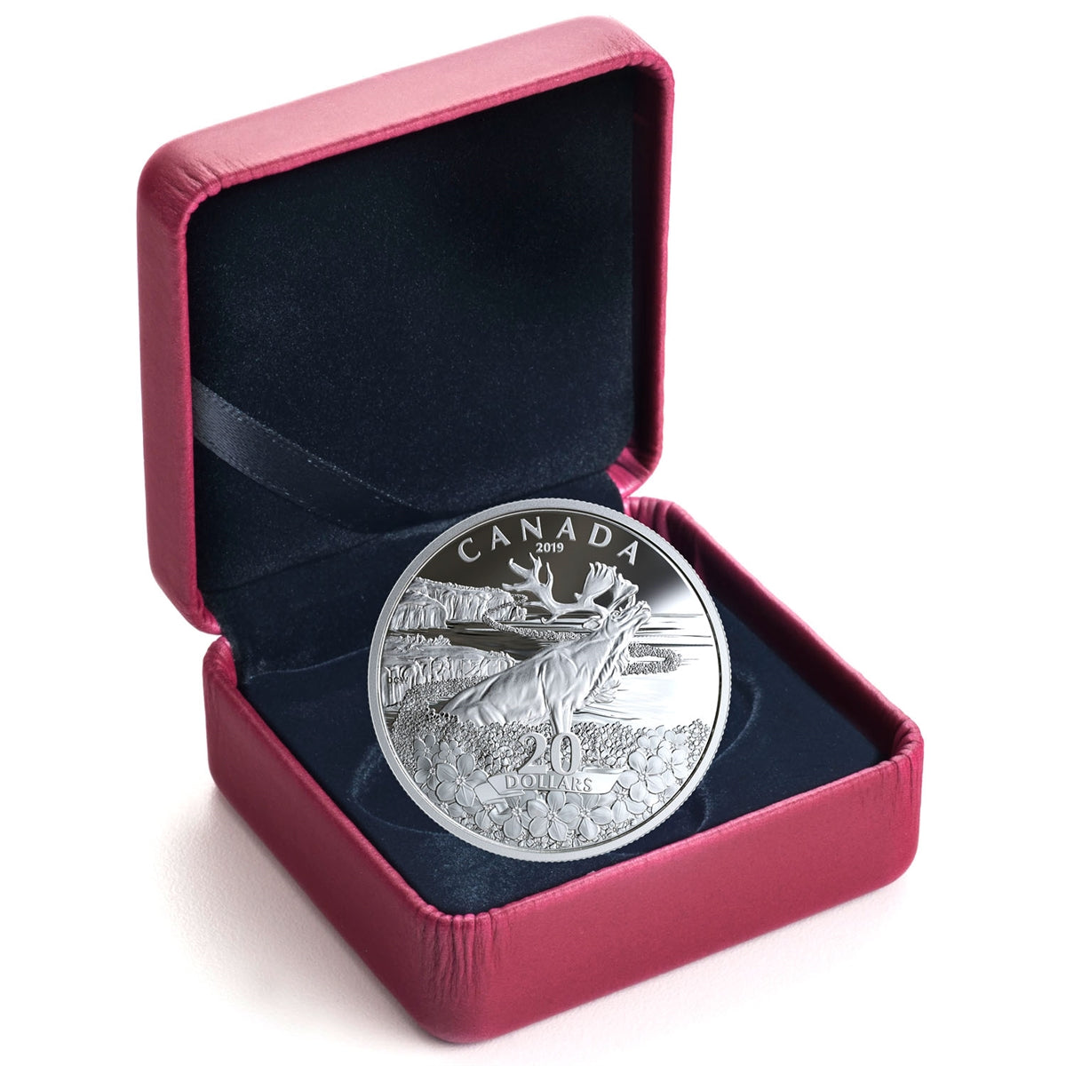 2019 Canada $20 Forget-Me-Not Fine Silver Coin (No Tax)