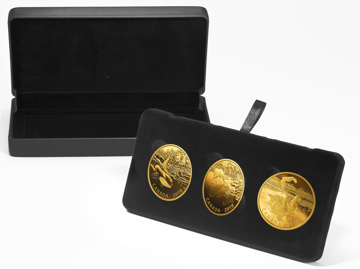 2019 Canada $30 Golden Reflections: Predator and Prey 3-coin Fine Silver Set (No Tax)