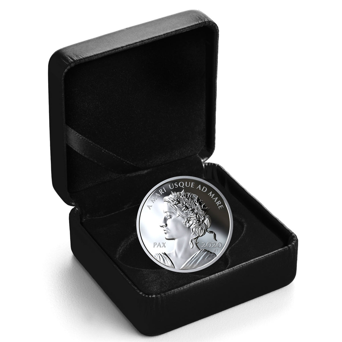2020 Canada $1 Peace Dollar Fine Silver Coin (No Tax)