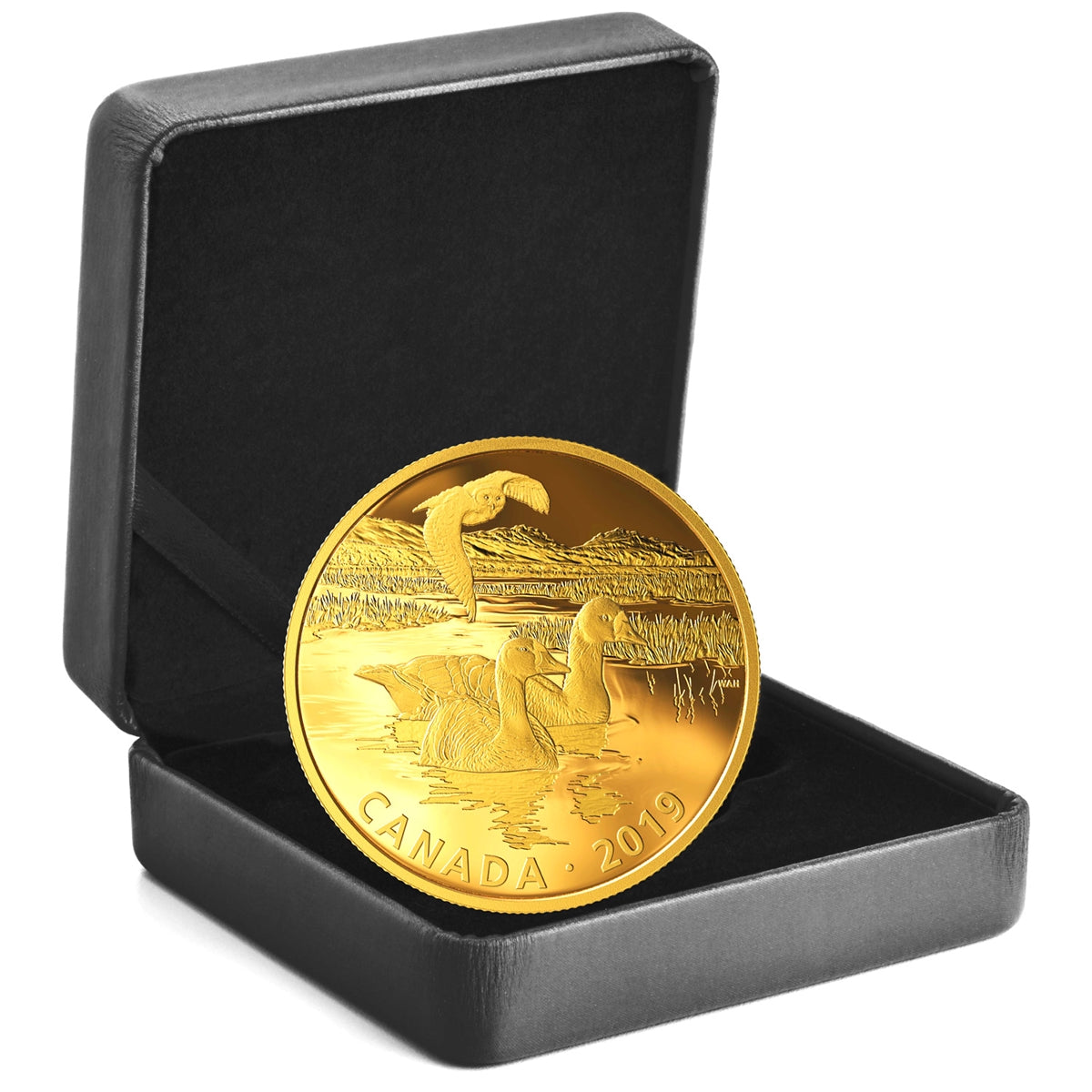 2019 Canada $30 Golden Reflections Predator & Prey Snowy Owl & Geese (No Tax)