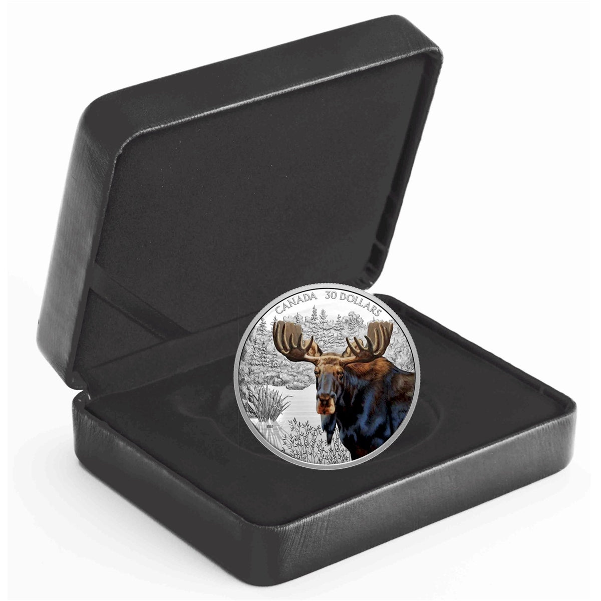 2020 Canada $30 Imposing Icons: Moose Fine Silver Coin (No Tax)