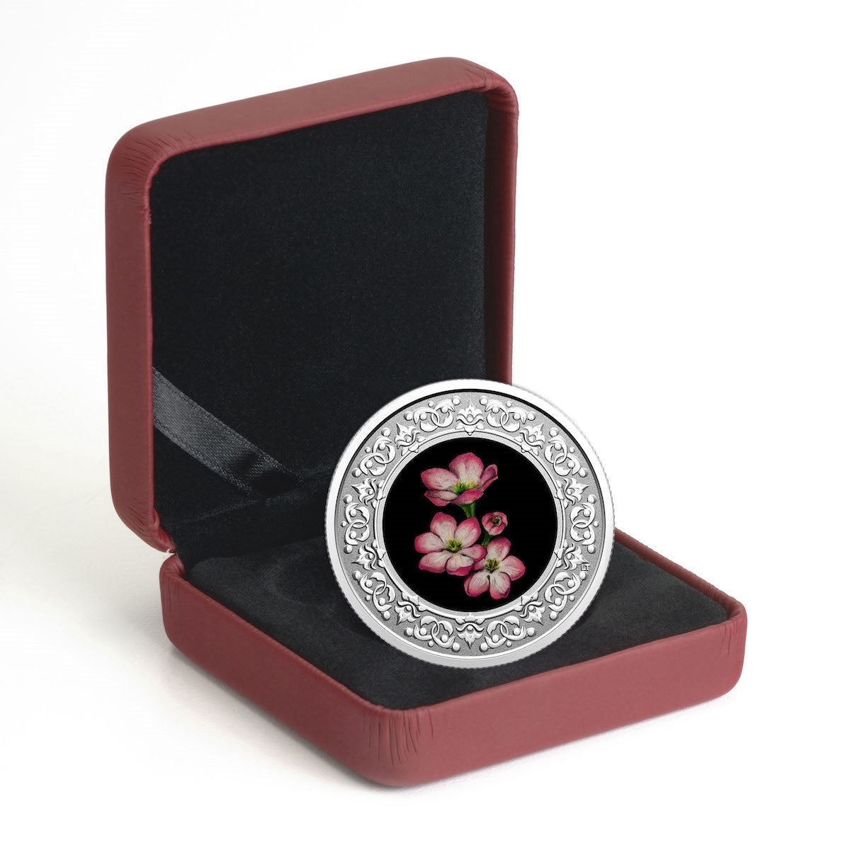2020 $3 Floral Emblems of Canada - Nova Scotia Mayflower Silver (No Tax)