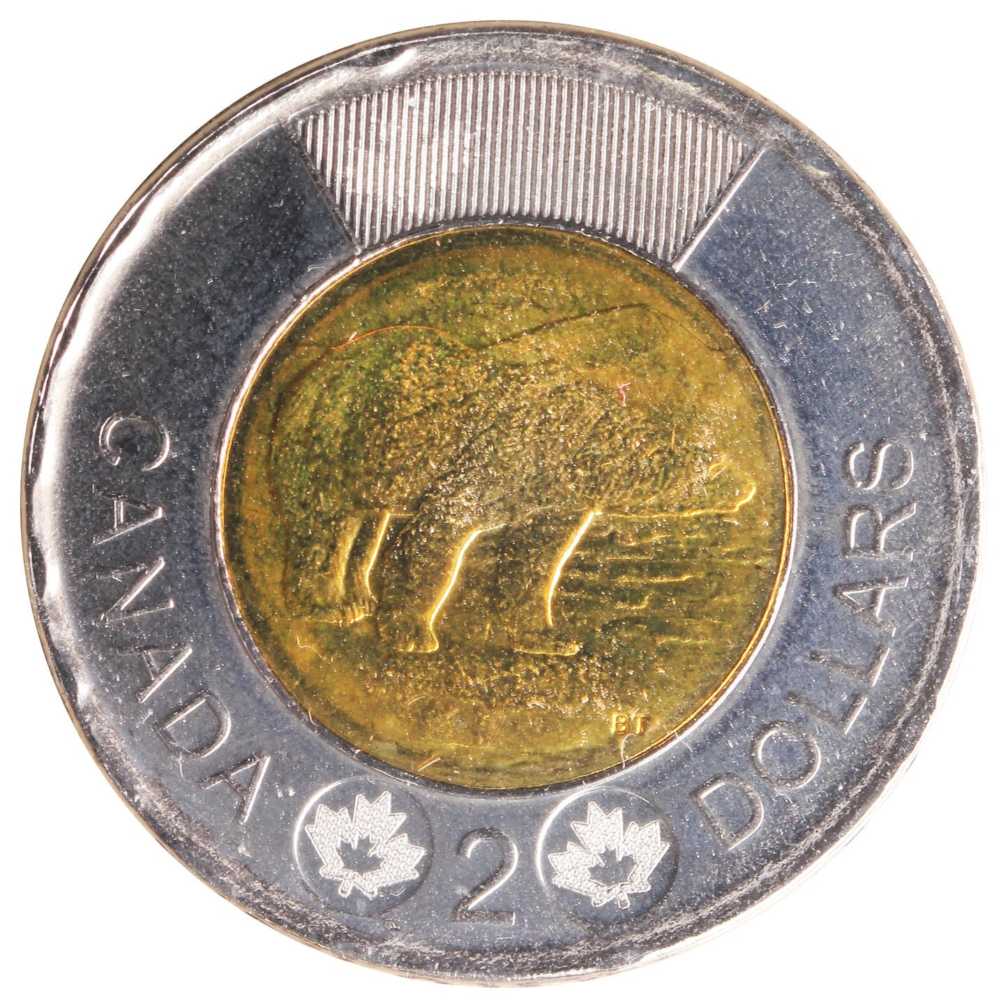 2019 14 Serrations Polar Bear Canada Two Dollars ICCS Certified MS66