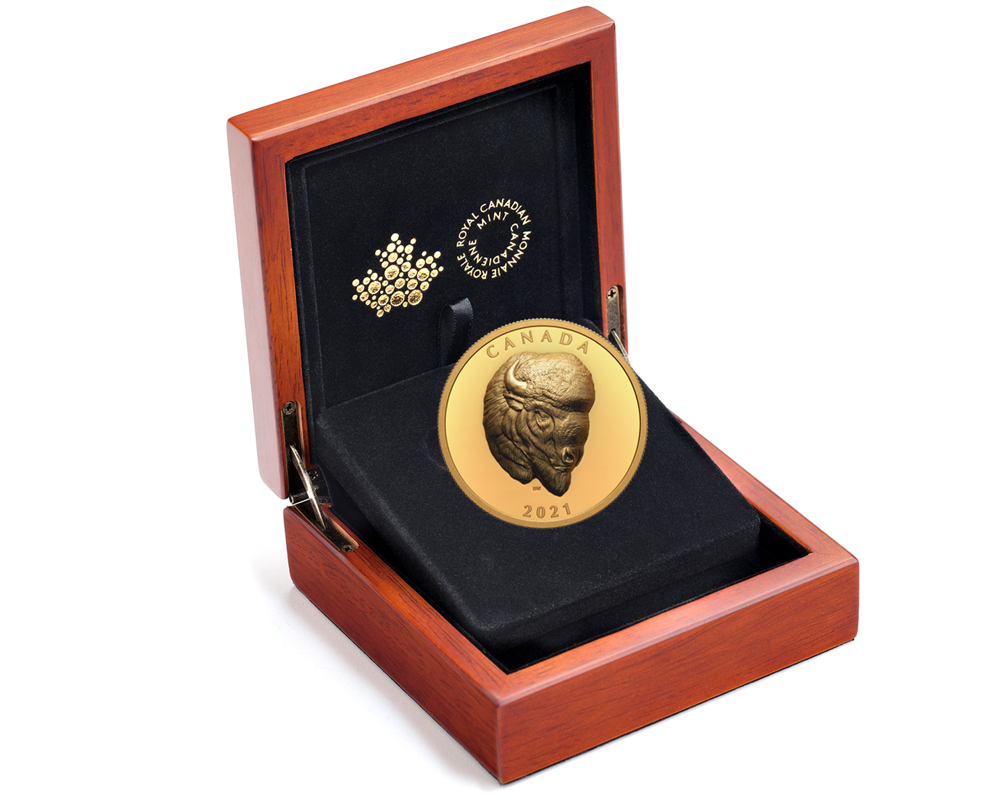 2021 Canada $250 Bold Bison Extraordinarily High Relief Pure Gold Coin (No Tax)