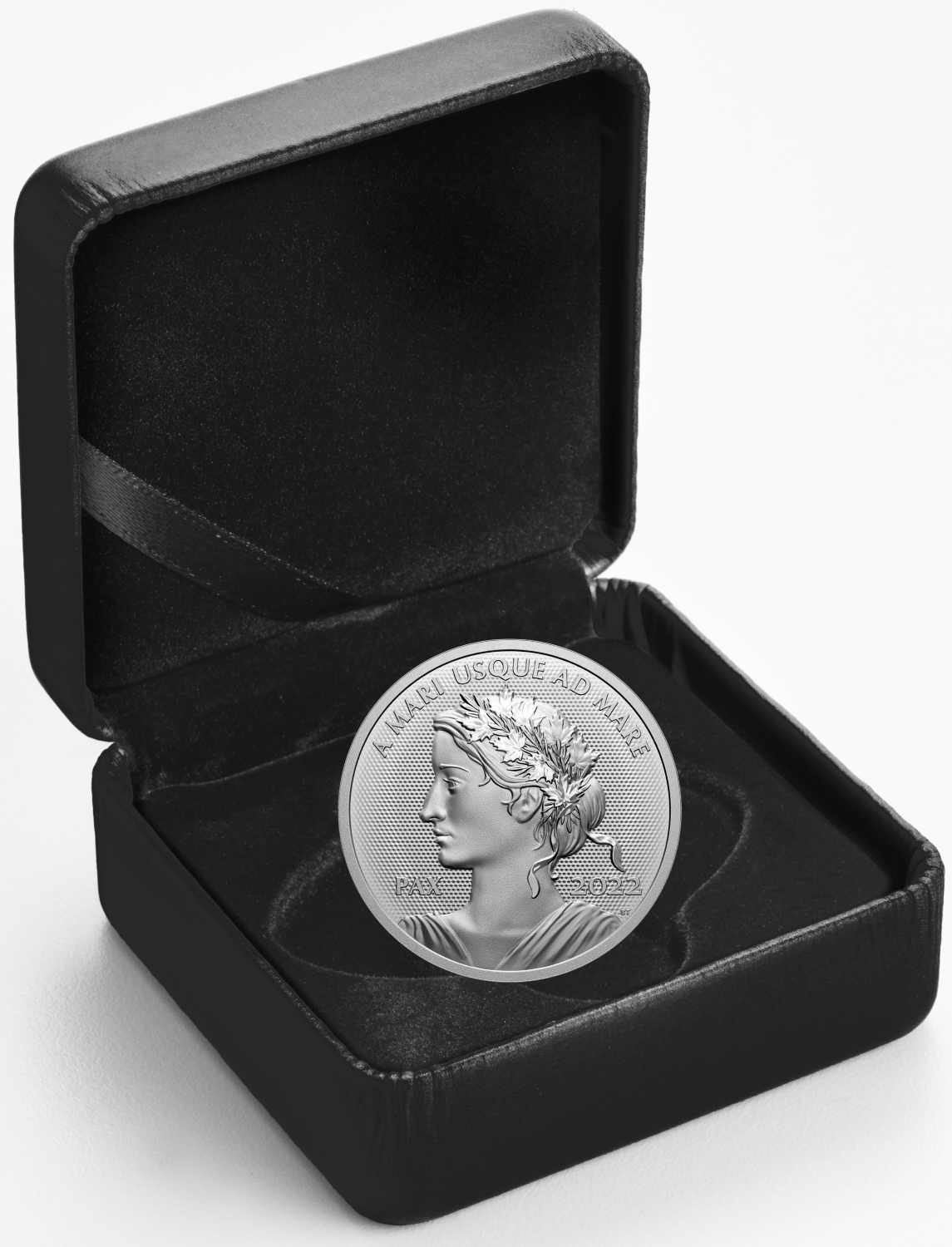 2022 Canada $1 Peace Dollar Ultra High Relief Fine Silver Coin (No Tax)