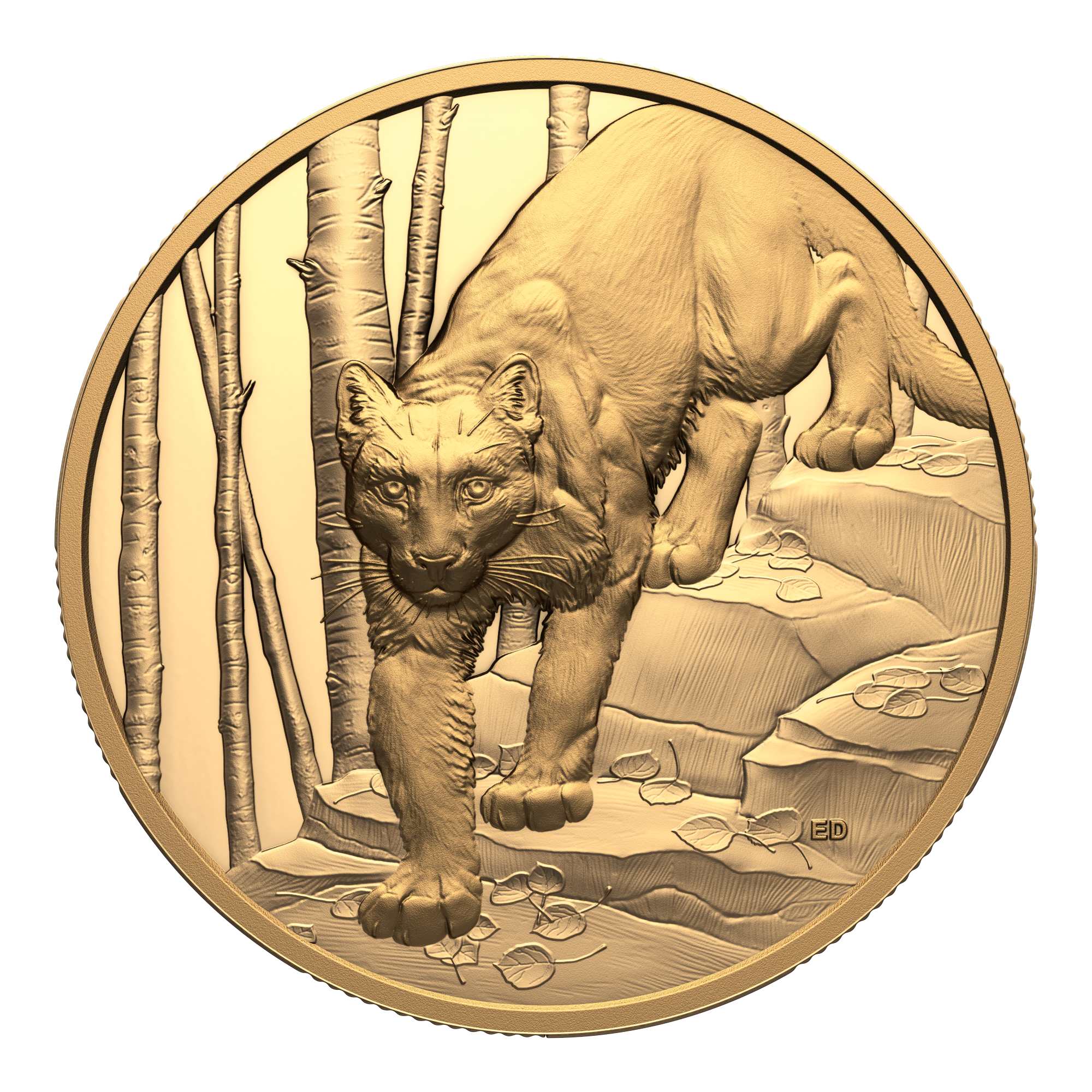 2024 $200 Great Hunters: Cougar Ultra High Relief Pure Gold