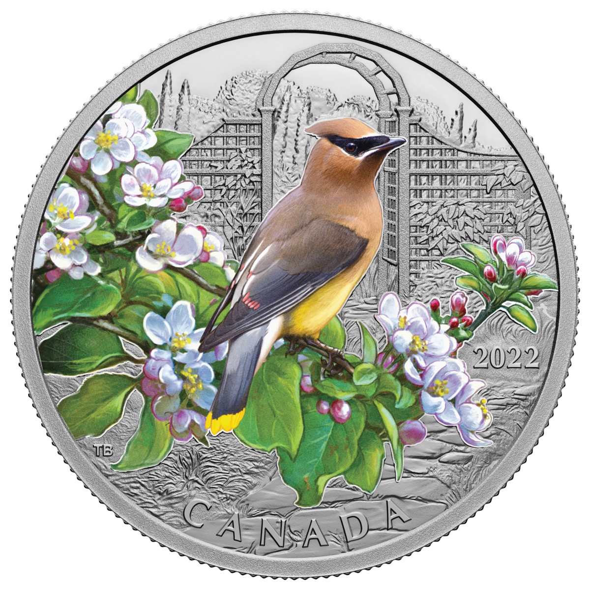 RDC 2022 Canada $20 Colourful Birds: Cedar Waxwing Fine Silver (No RDC 2022 Canada $20 Colourful Birds: Cedar Waxwing Fine Silver (No