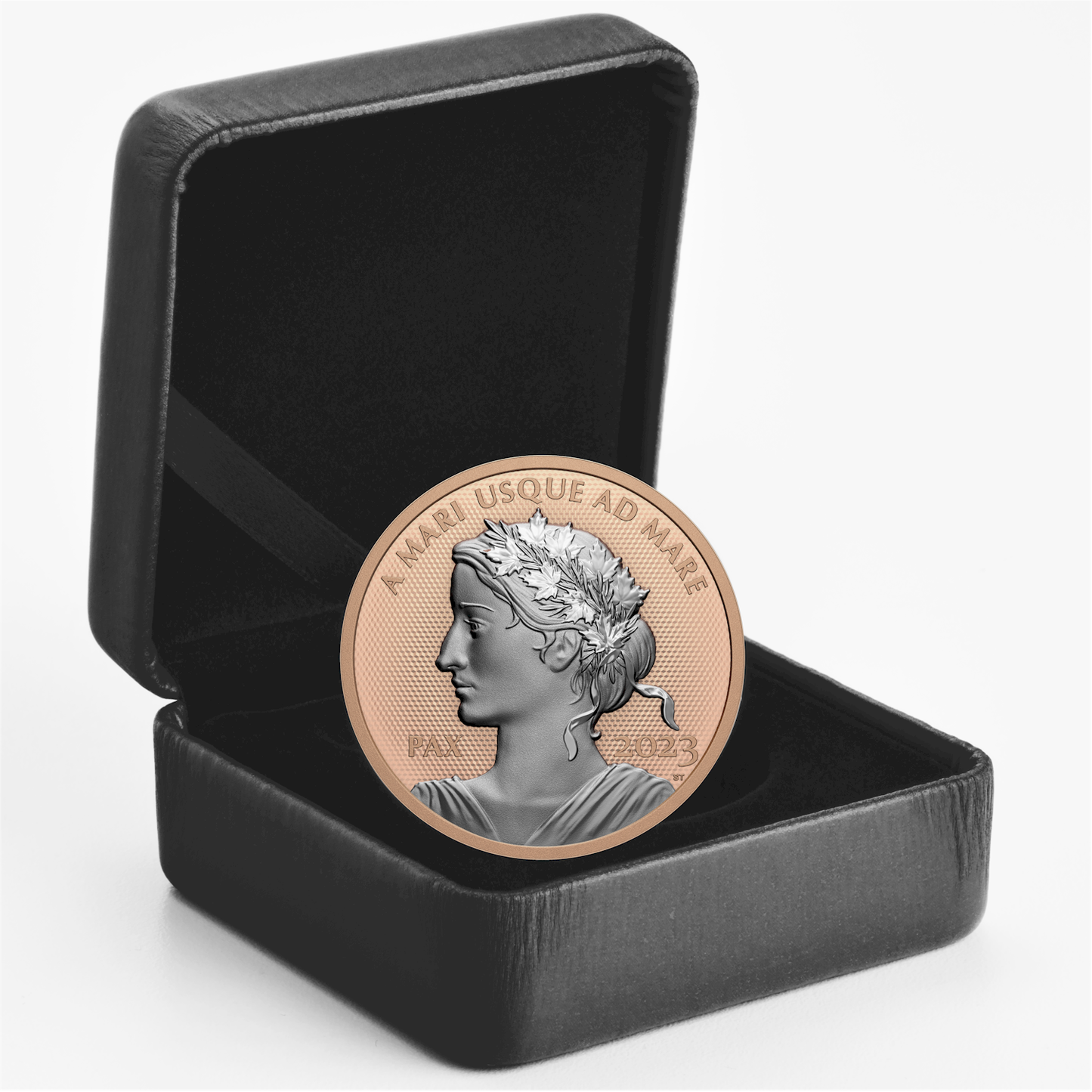 RDC 2023 Canada $1 Peace Dollar Rose Gold Plated Fine Silver (No Tax) scratched