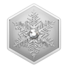 2023 Canada $20 Snowflake Hexagon Shaped Fine Silver (No Tax)