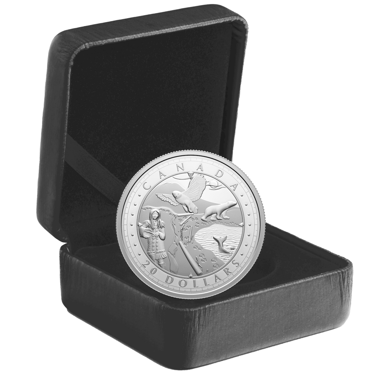 2024 $20 This is Canada: Wondrous Waters - Arctic Coast Fine Silver (No Tax)