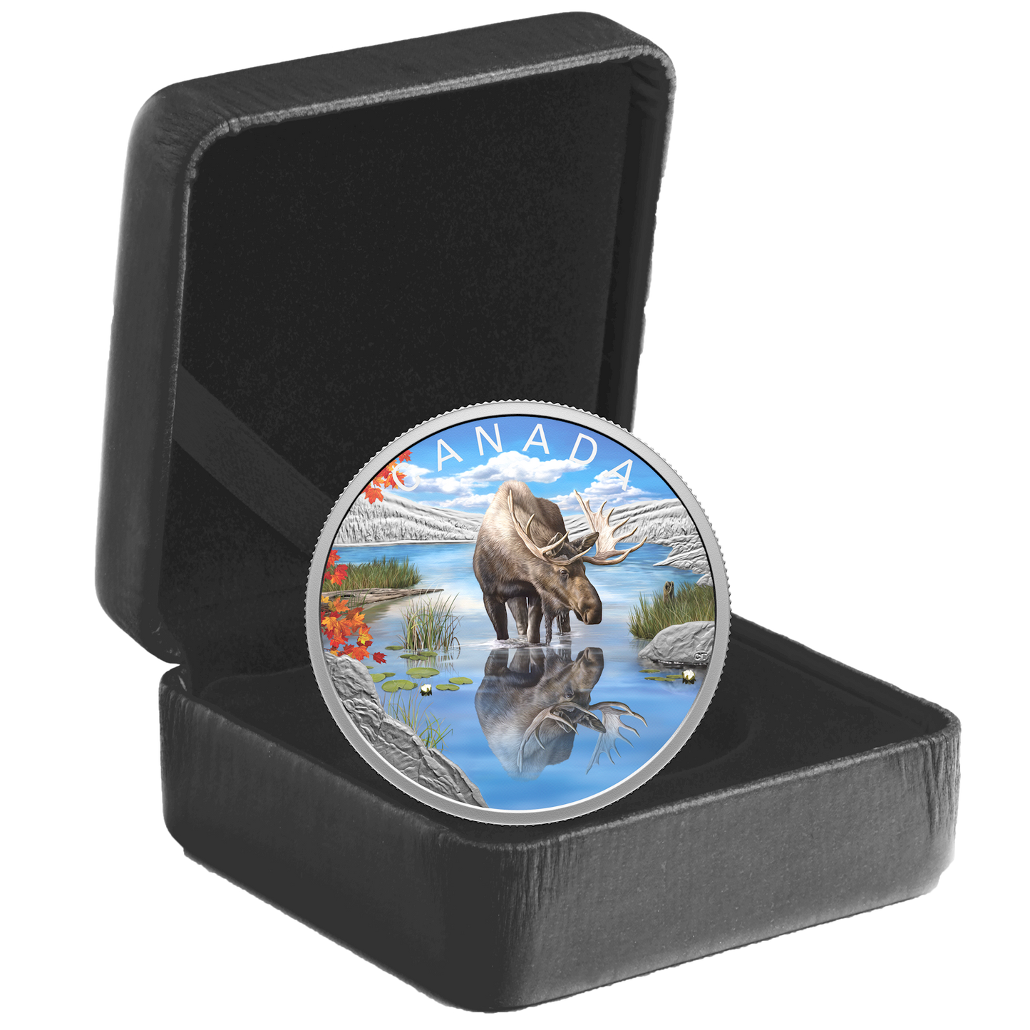2024 Canada $20 Wildlife Reflections: Moose Fine Silver (No Tax)