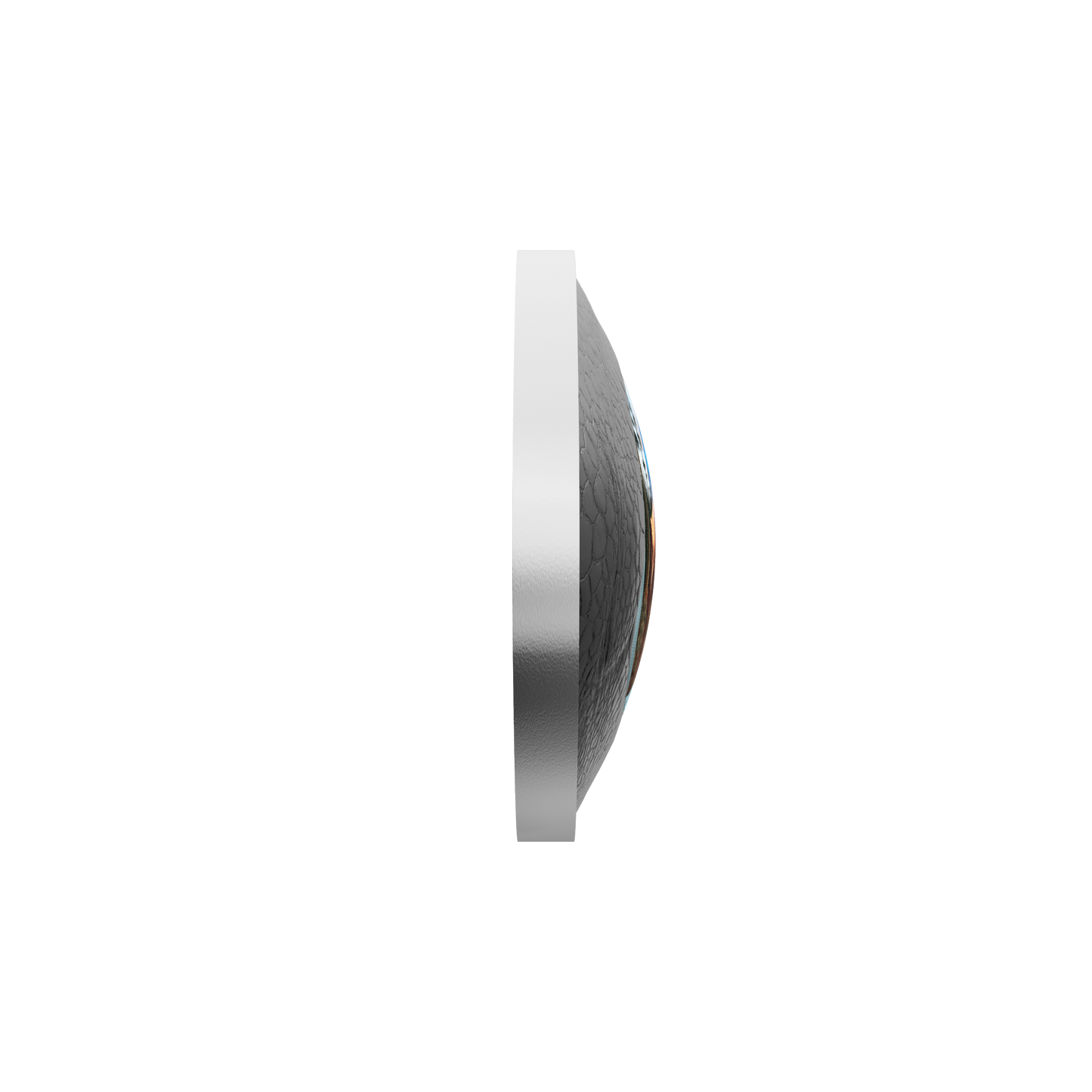 2025 Canada $20 Dinosaur Eye Fine Silver (No Tax)