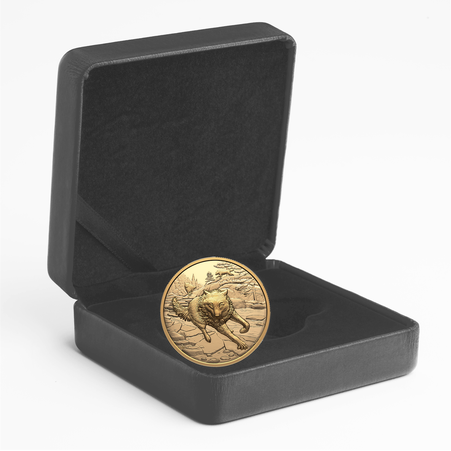 2025 Canada $200 Great Hunters: Grey Wolf Ultra High Relief Pure Gold Coin (No Tax)