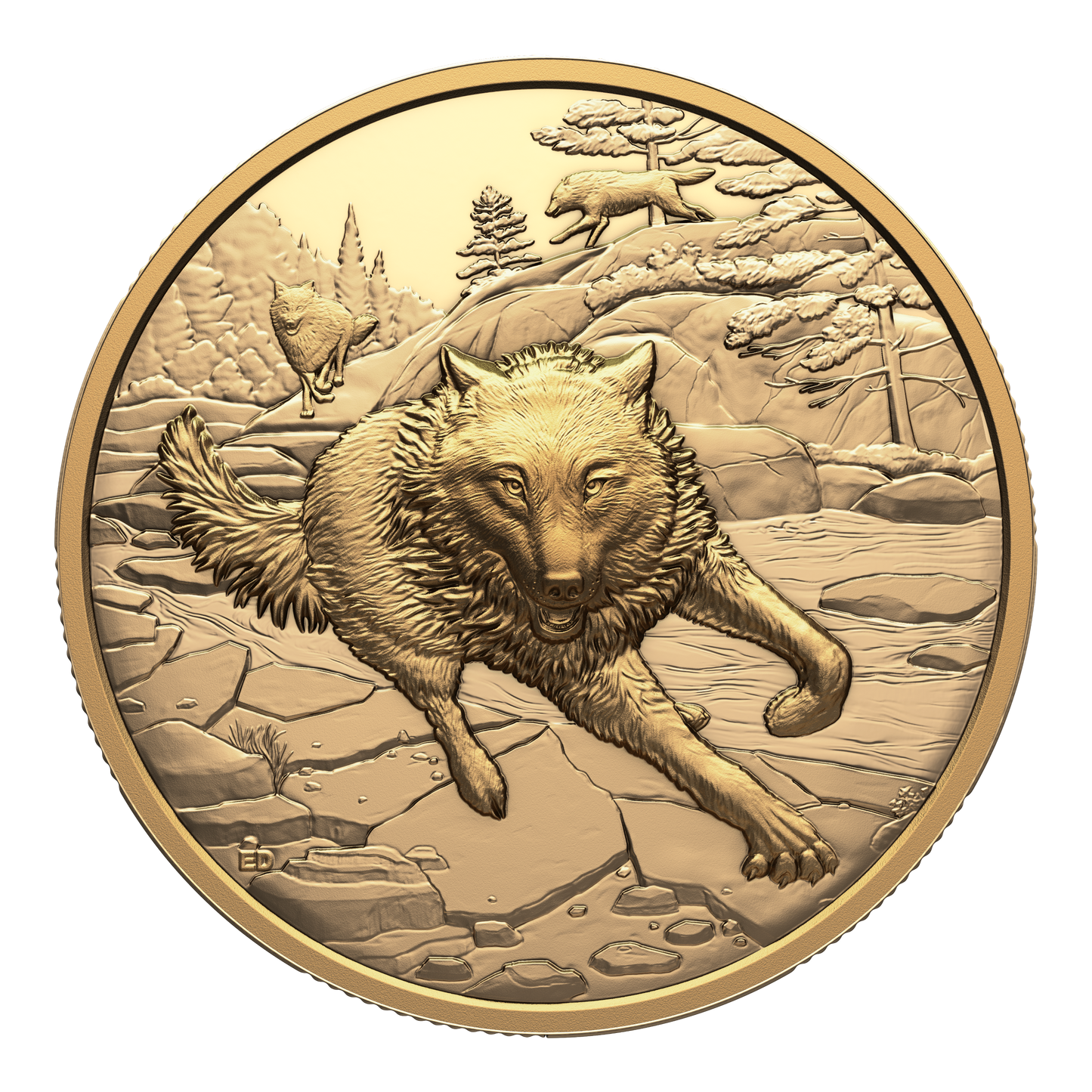 2025 Canada $200 Great Hunters: Grey Wolf Ultra High Relief Pure Gold Coin (No Tax)