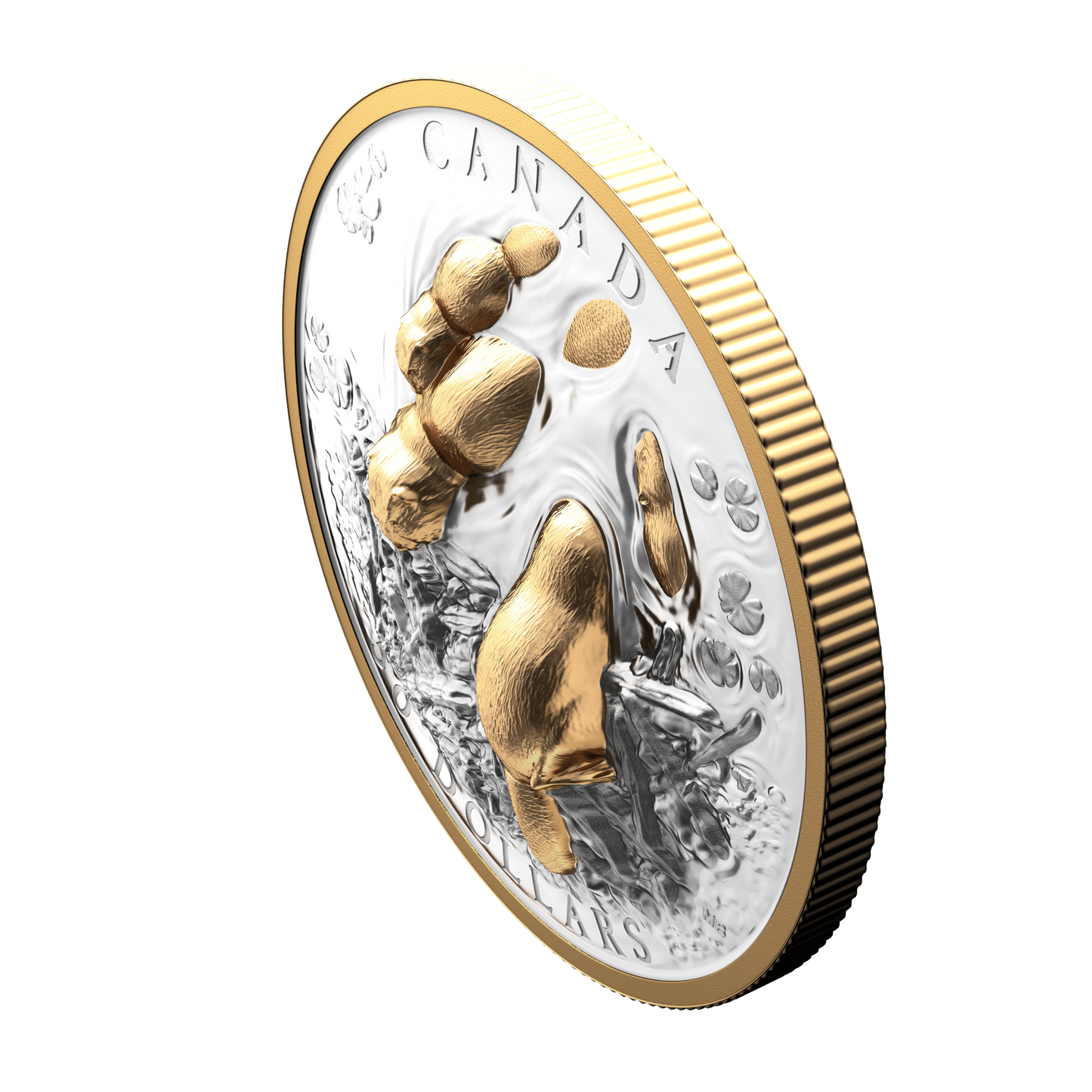 2025 $50 Canadian Symbol: The Beaver Fine Silver (No Tax)