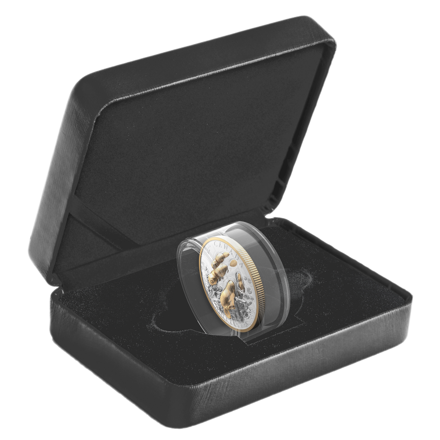 2025 $50 Canadian Symbol: The Beaver Fine Silver (No Tax)