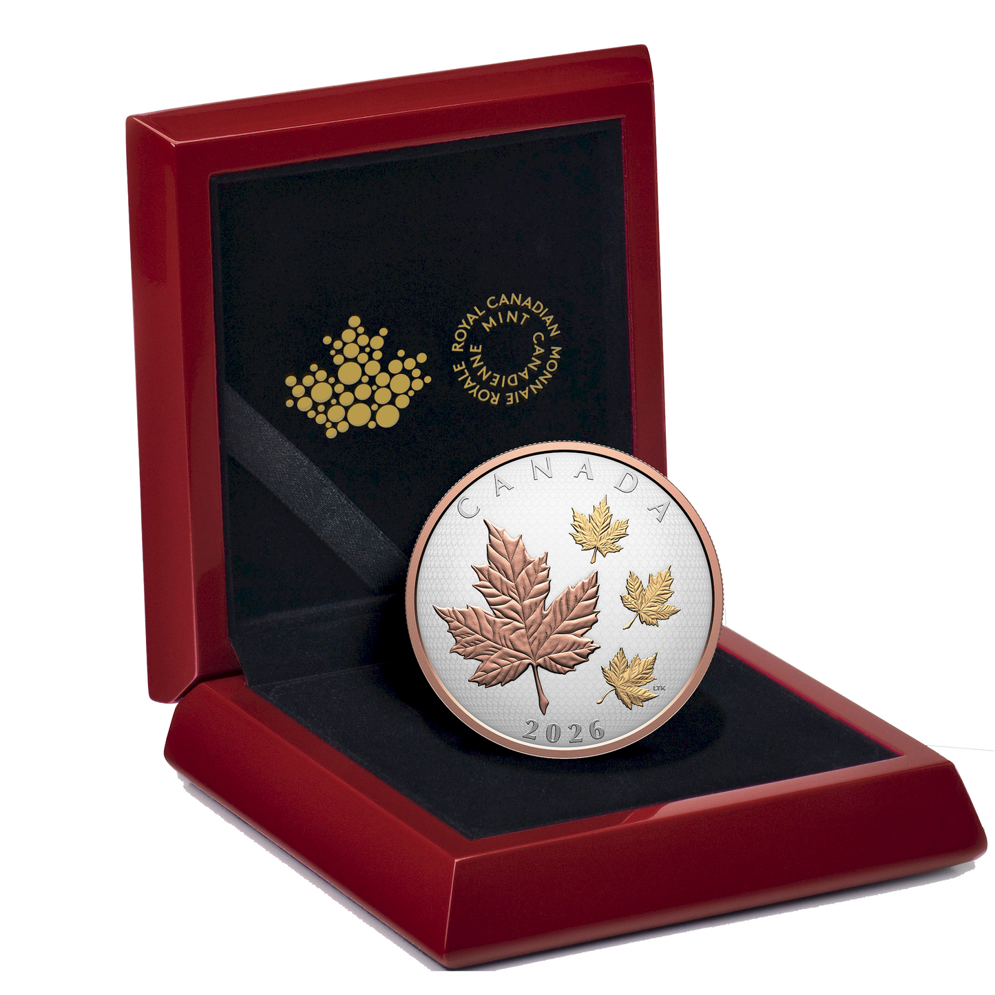 2026 Canada $50 Maple Leaves in Motion 5oz. Fine Silver (No Tax)