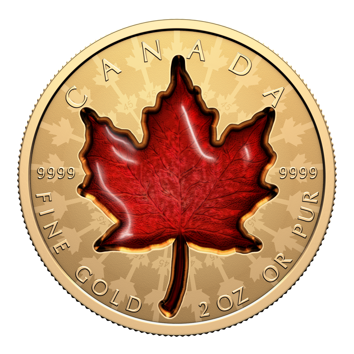 2024 Canada $200 Proud Maple 2oz. Pure Gold Coin (No Tax)