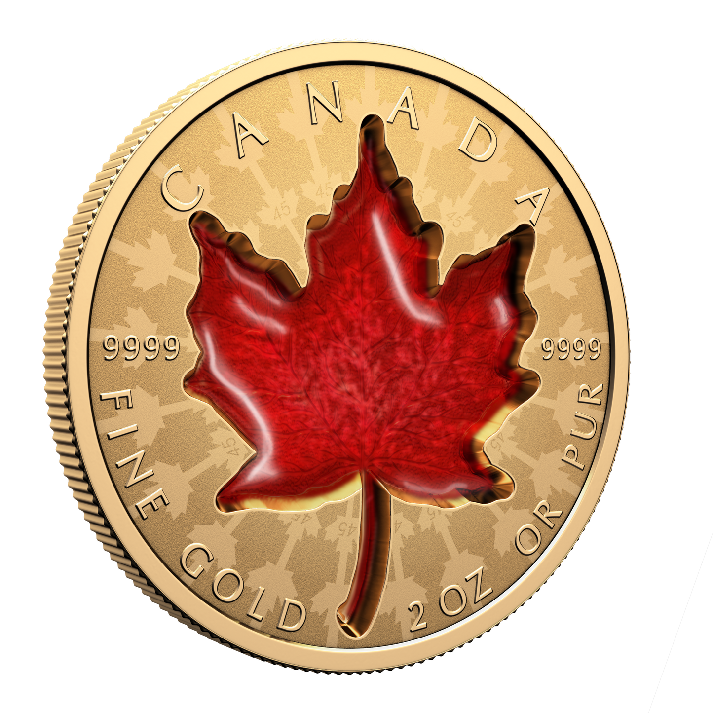2024 Canada $200 Proud Maple 2oz. Pure Gold Coin (No Tax)