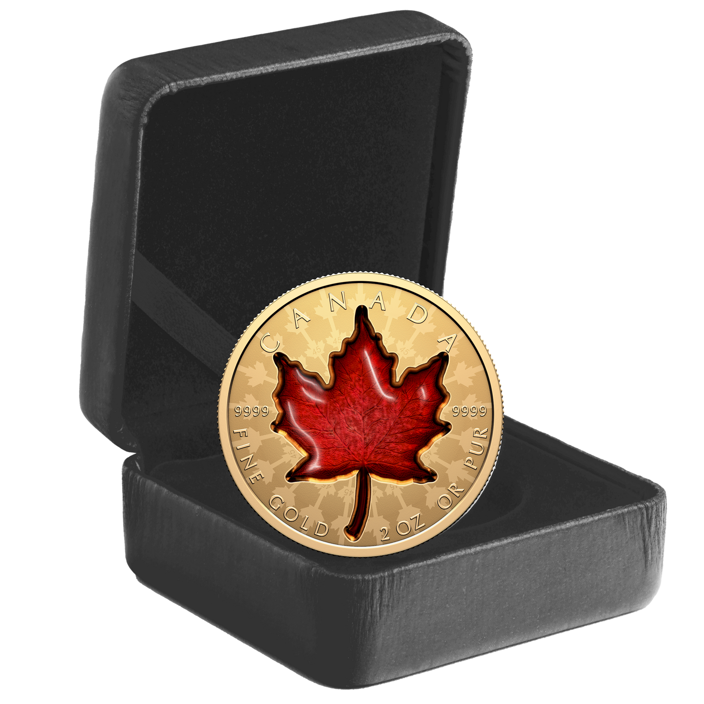 2024 Canada $200 Proud Maple 2oz. Pure Gold Coin (No Tax)